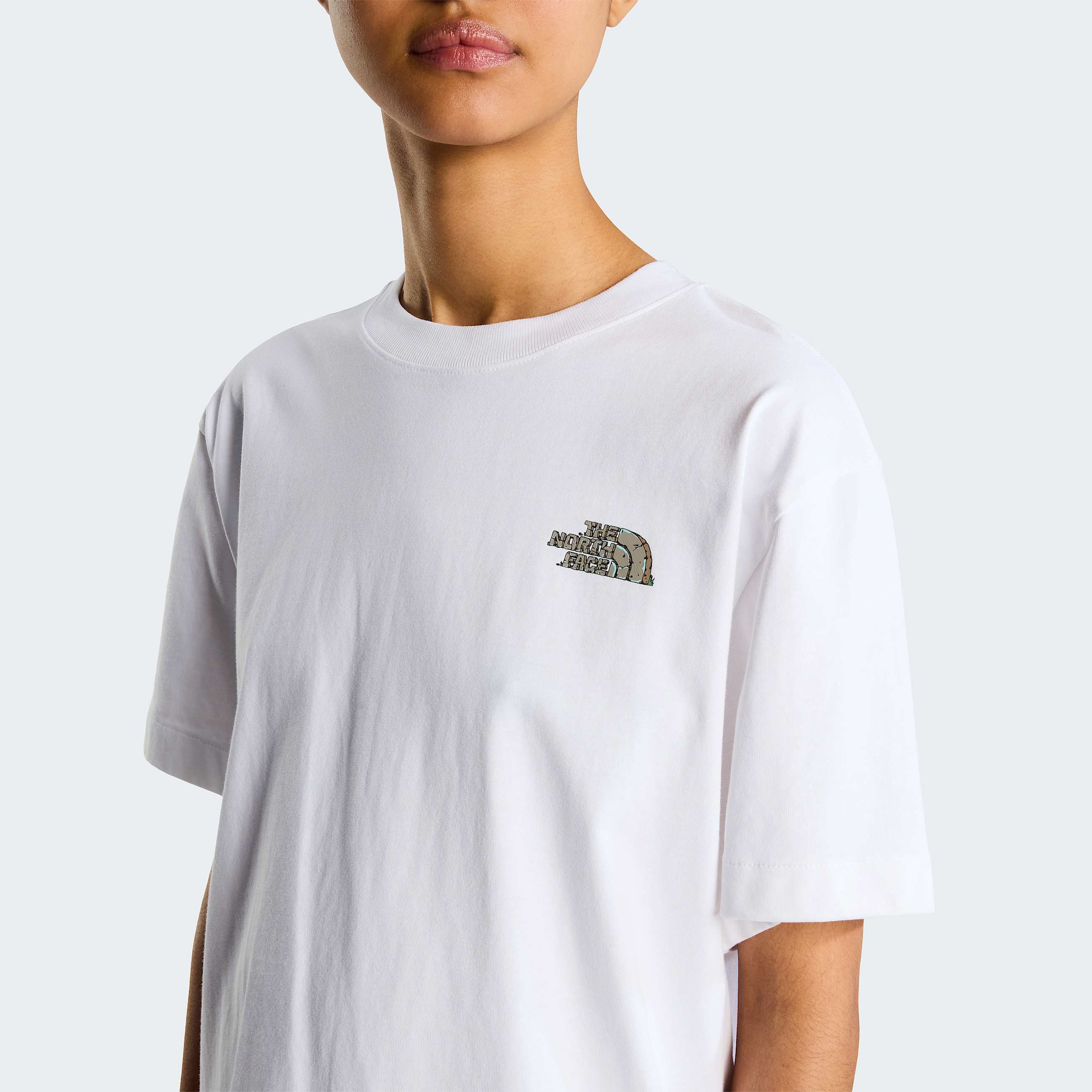 Tshirt Stone Logo Relaxed con grafica unisex TNF ALT16