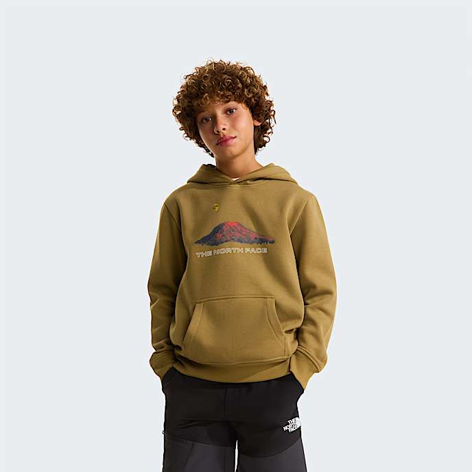 Sweat  capuche dcontract Mountain Night pour garon TNF Cedar HERO