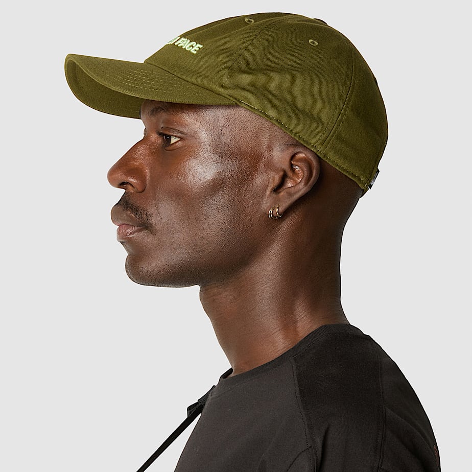 Cap Norm Roomy TNF ALT3