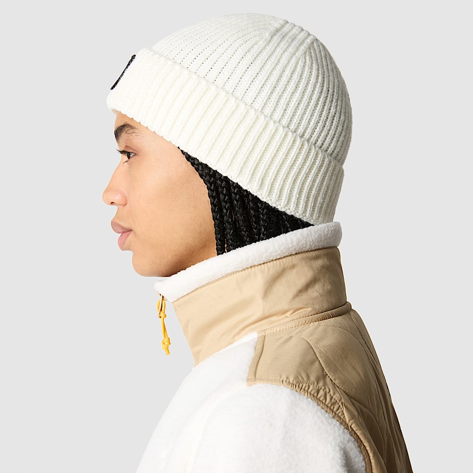 TNF Logo Box Beanie mit Umschlag TNF ALT3