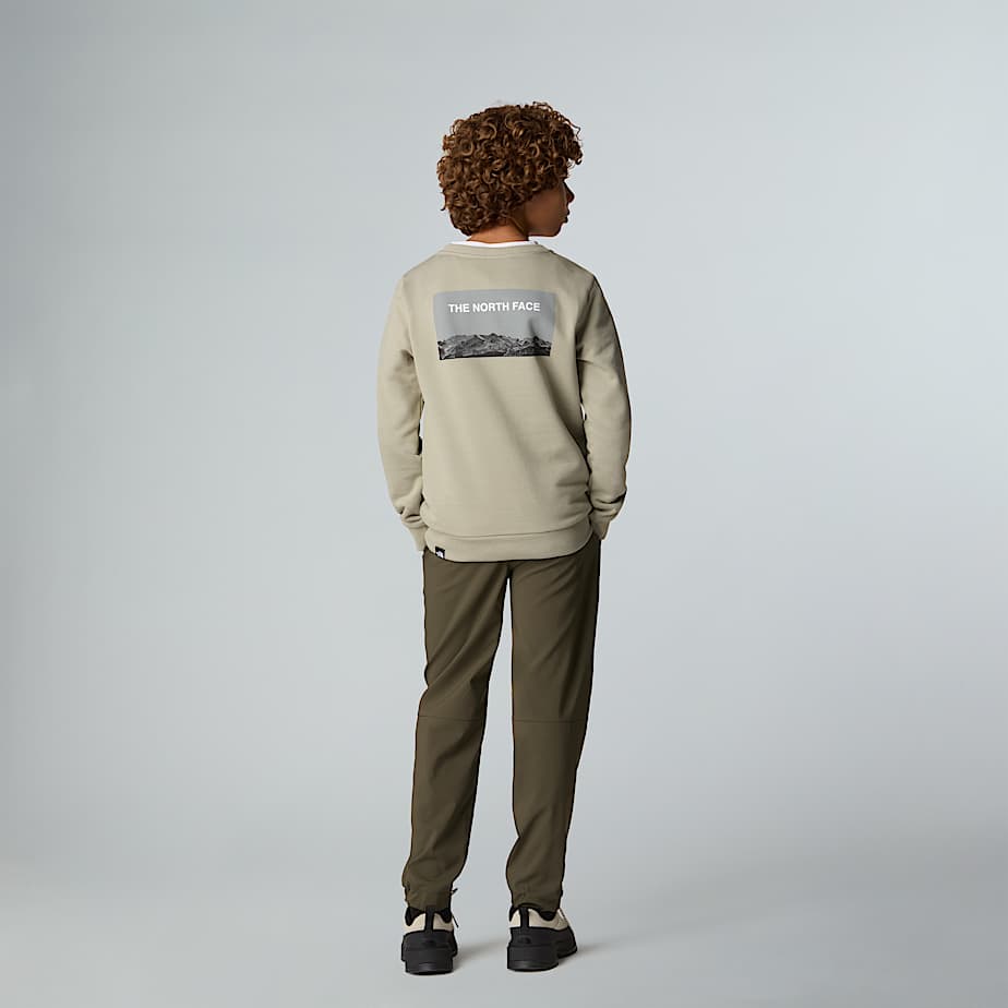 Crew Neck Sweatshirt Junior TNF ALT2