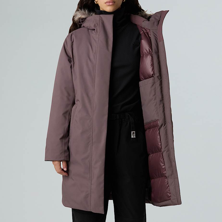 Arctic Parka W TNF ALT12