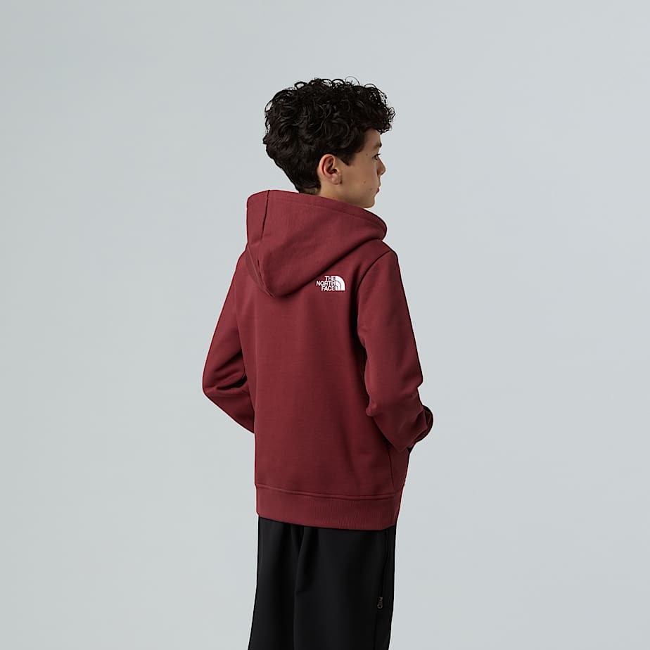 Drew Peak Pullover Hoodie Junior TNF ALT6