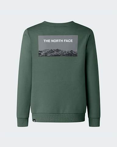 Camisola de gola redonda para adolescente TNF Duck Green ALT1