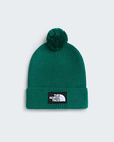 TNF Logo Box Pom Beanie TNF Evergreen hero