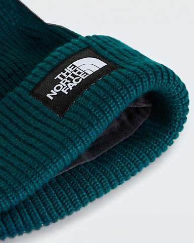 Salty Lined hue TNF Pacific Teal ALT2