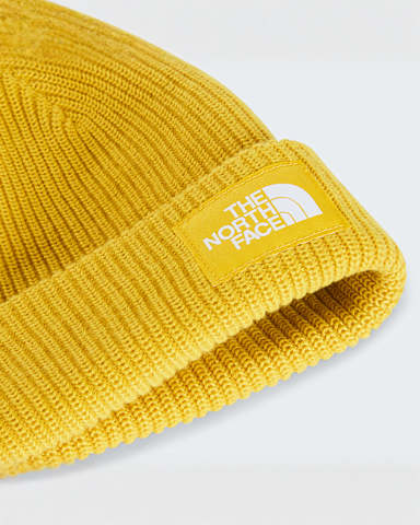 Salty Lined hue TNF Pigment Yellow ALT2