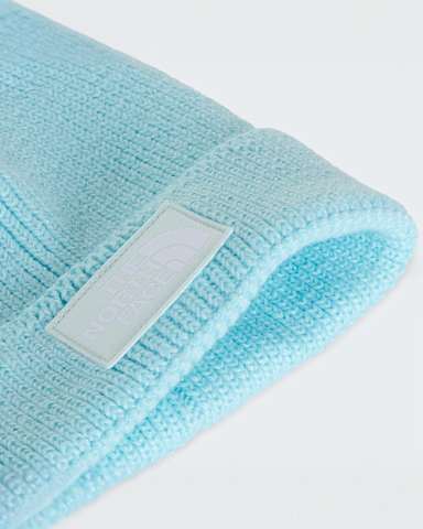 TNF Logo Box Beanie mit Umschlag TNF Glacier ALT2
