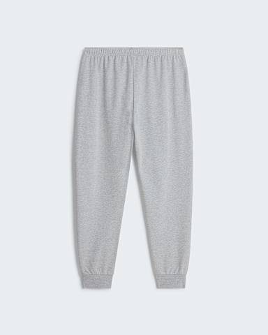 Evolution Core Dome Regular Terry Jogginghose fr Herren TNF TNF Pale Grey Heather alt1
