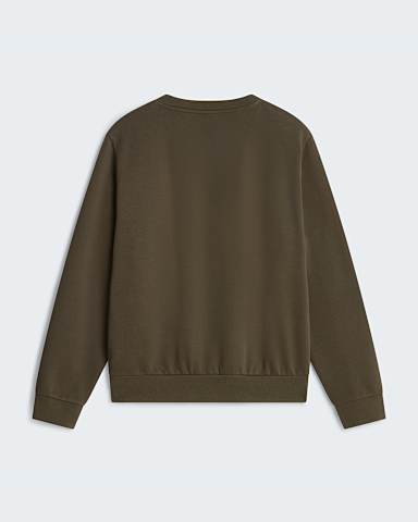 Sweat standard Evolution Core Dome pour homme TNF New Taupe Green alt1