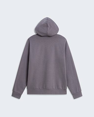 Sweat capuche standard Evolution Front Throwback pour homme TNF Smoked Pearl alt1