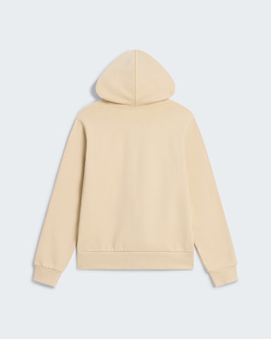Sweat capuche standard Evolution Front Throwback pour femme TNF Gravel alt1