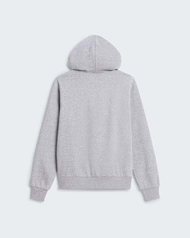 Evolution Core Dome Regular Hoodie voor dames TNF TNF Pale Grey Heather alt1