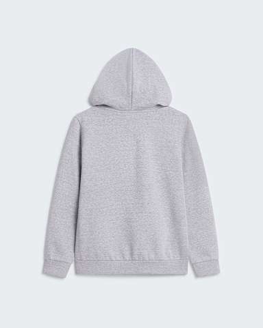 Sweat capuche standard Evolution Core Dome pour enfant TNF TNF Pale Grey Heather alt1