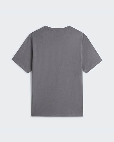 Tshirt standard Evolution Core Dome pour homme TNF Smoked Pearl alt1