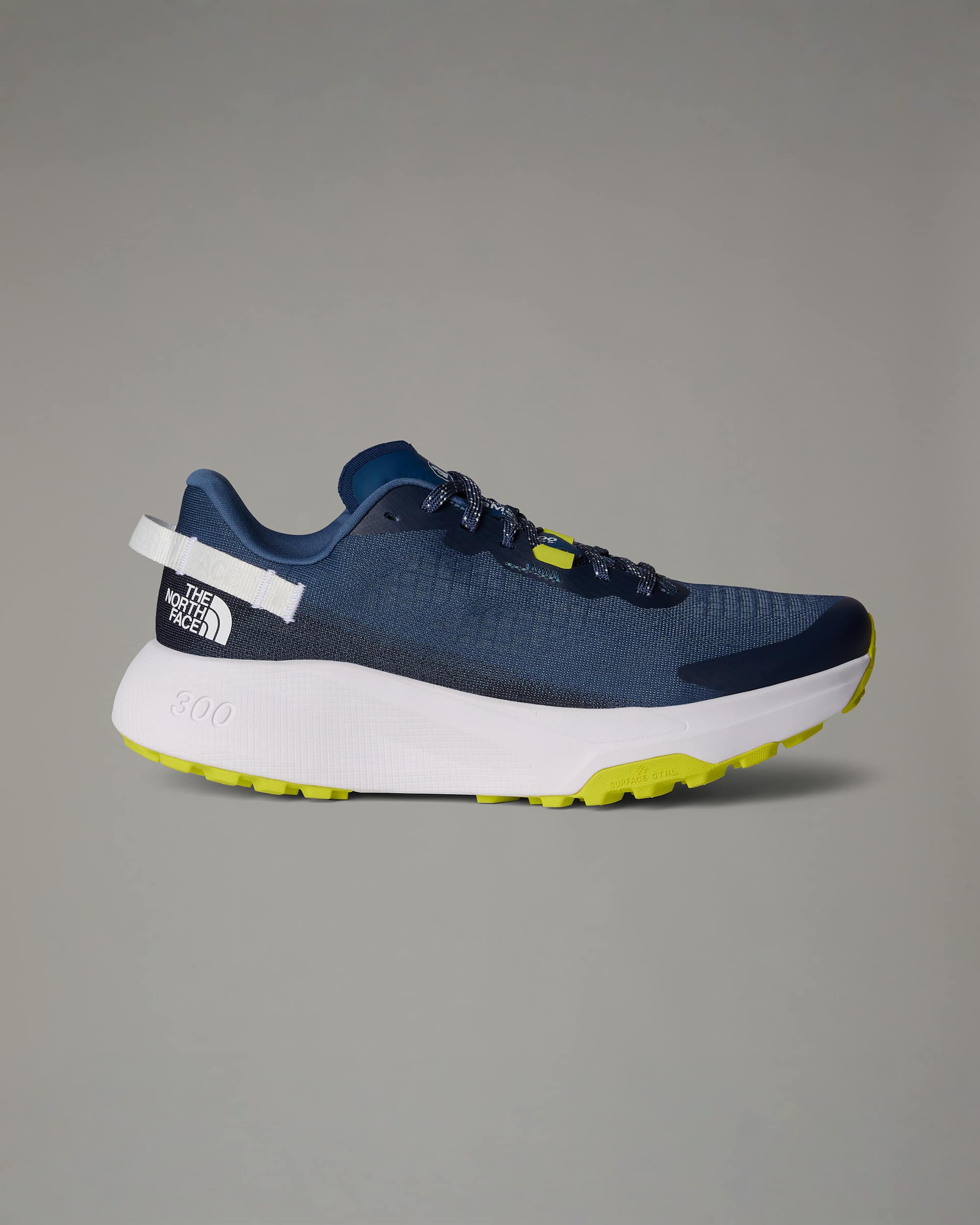 Mens Altamesa 300 Trail Running Shoes TNF hero