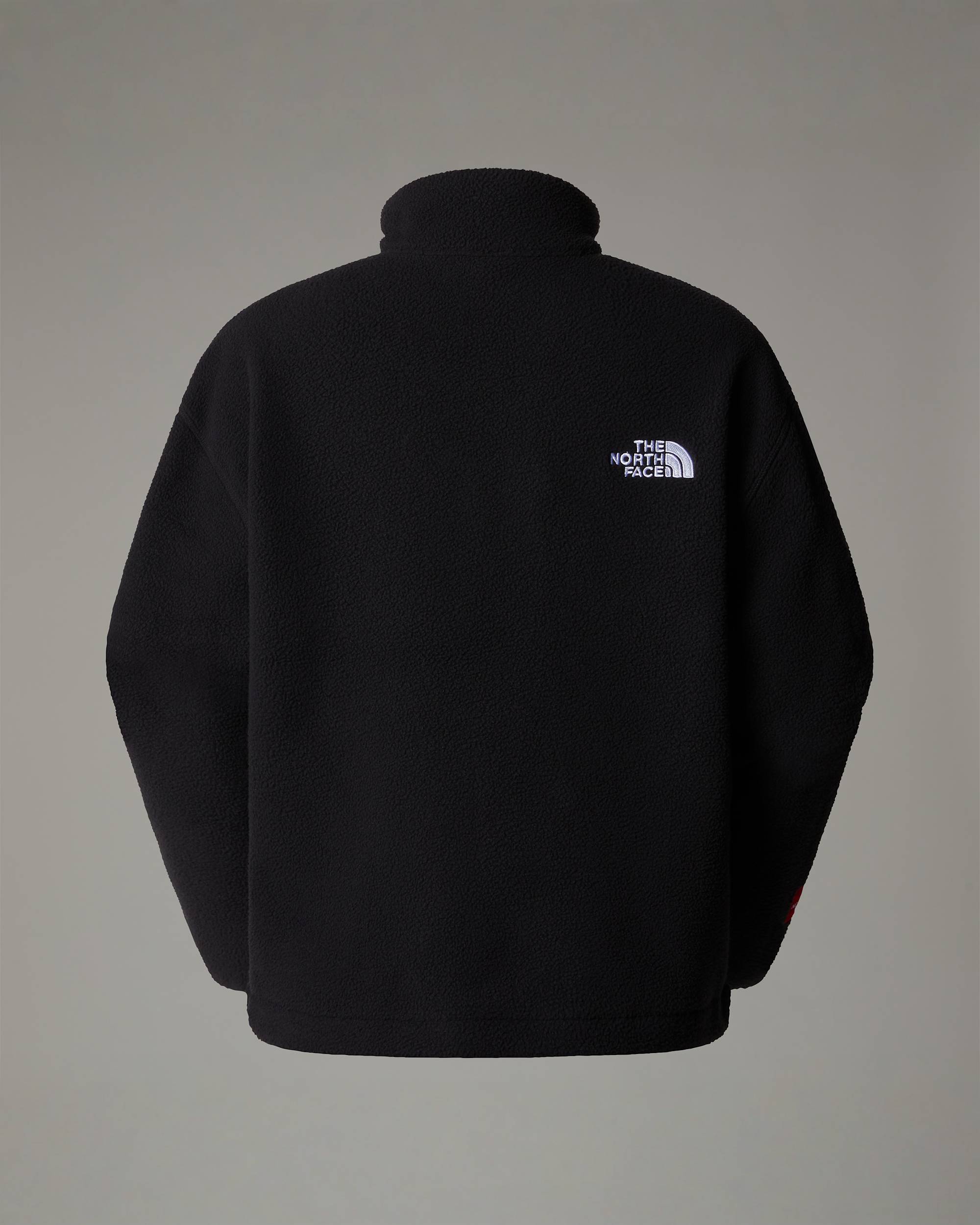 Womens TNF Fleeski FullZip Fleece TNF ALT21