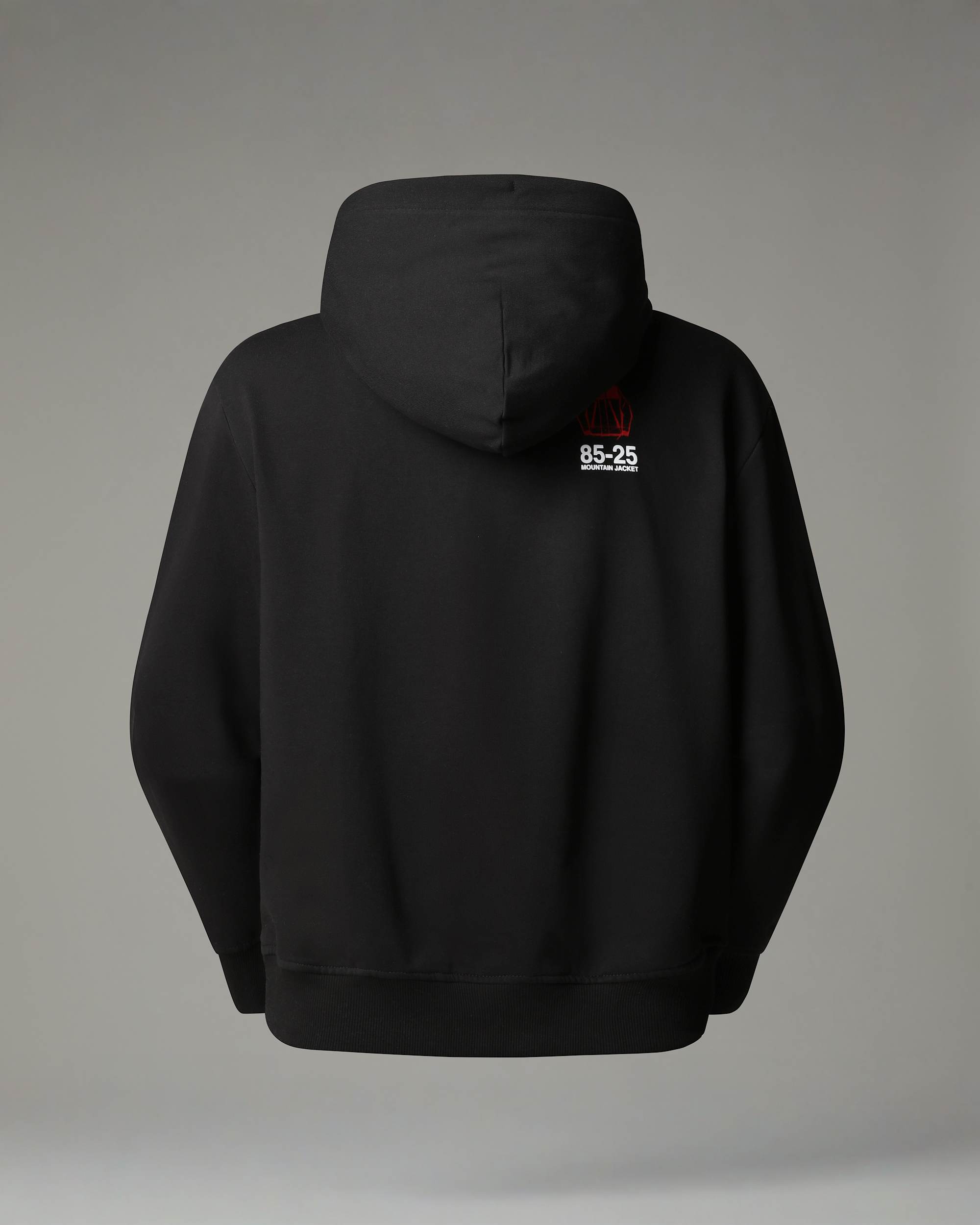 Mountain Jacket Anniversary Relaxed Hoodie TNF alt1