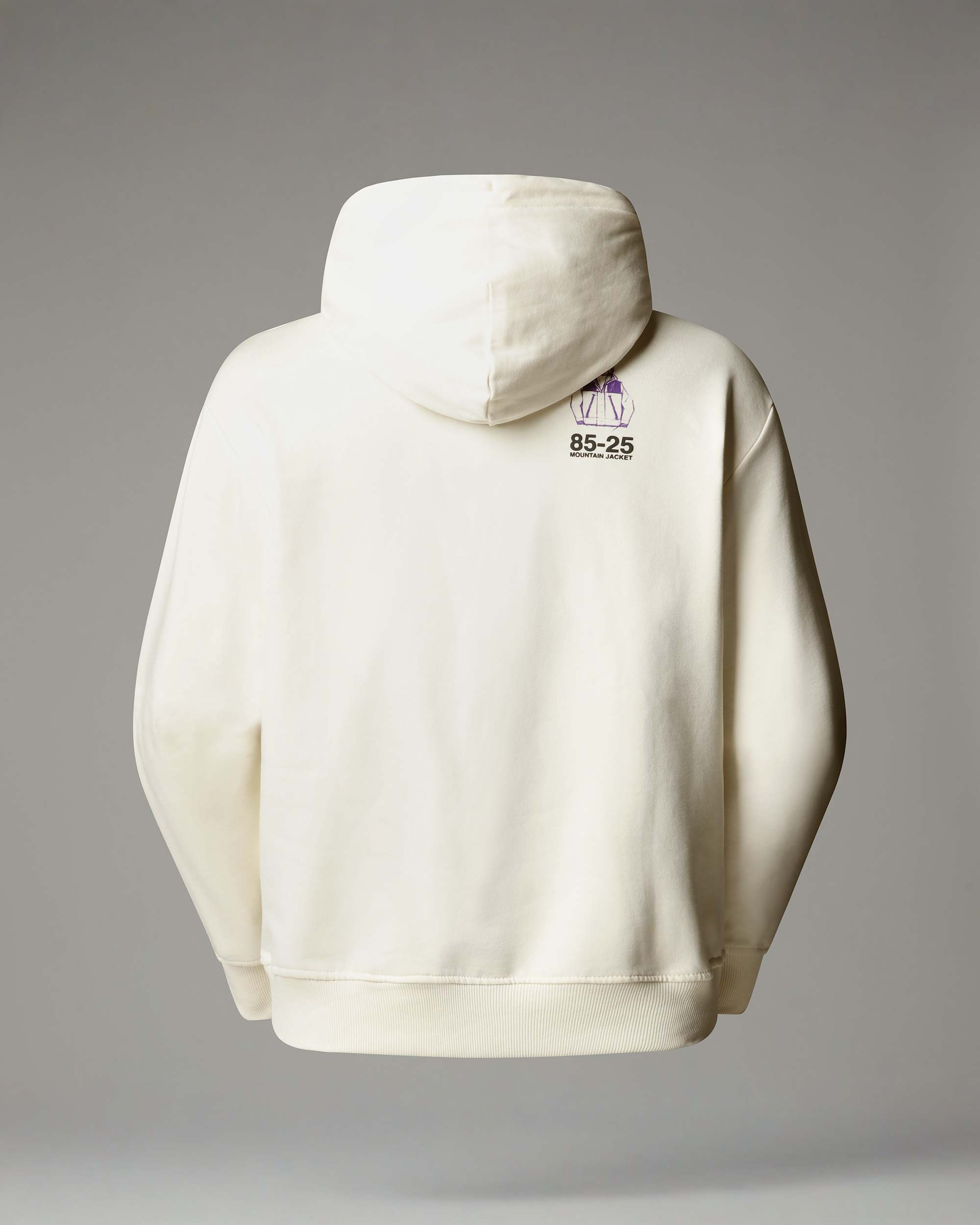 Sudadera holgada con capucha Mountain Jacket Anniversary TNF alt1