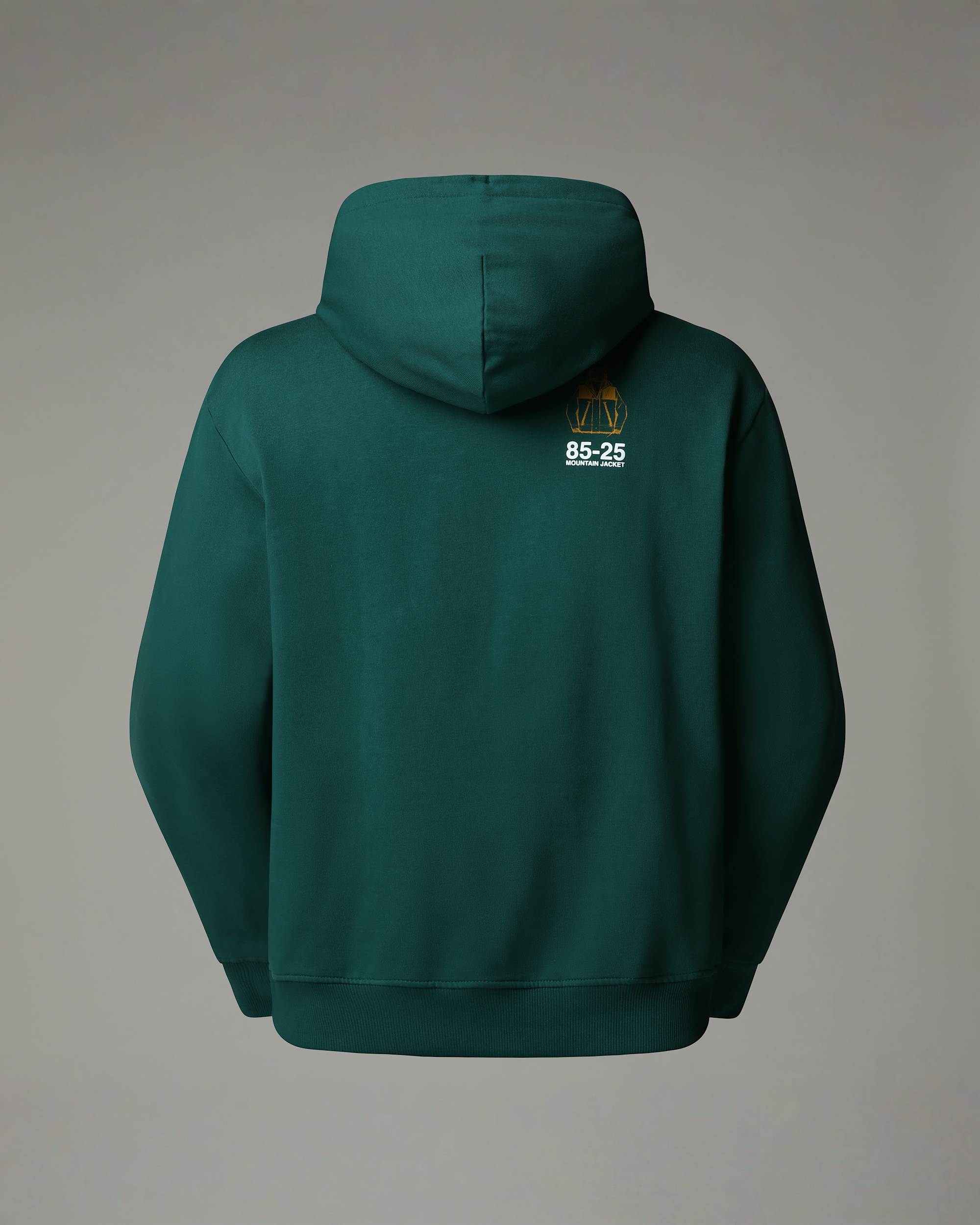 Sweat  capuche dcontract Mountain Jacket Anniversary TNF ALT1