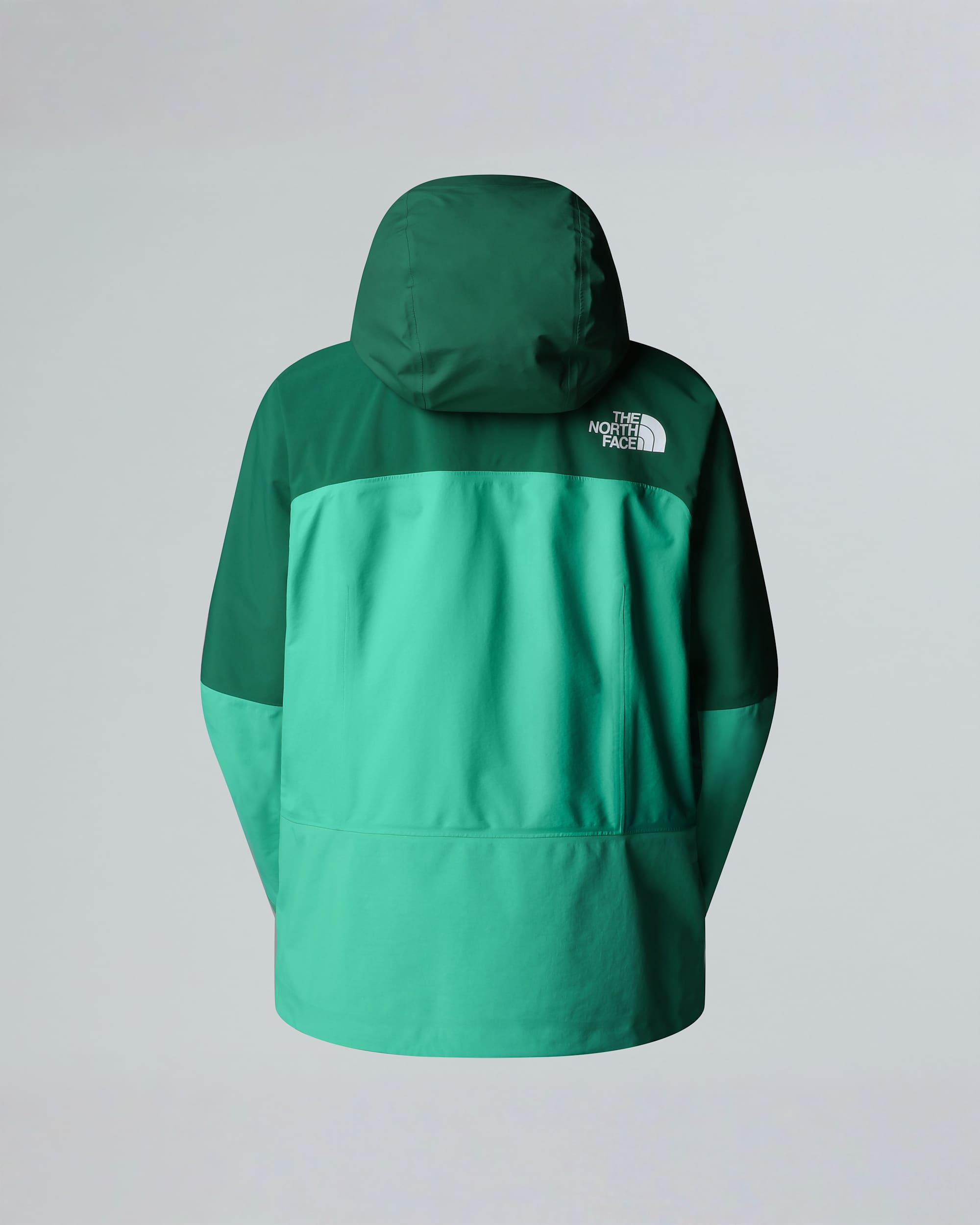 Womens Summit Torre Egger FUTURELIGHT Jacket TNF ALT21