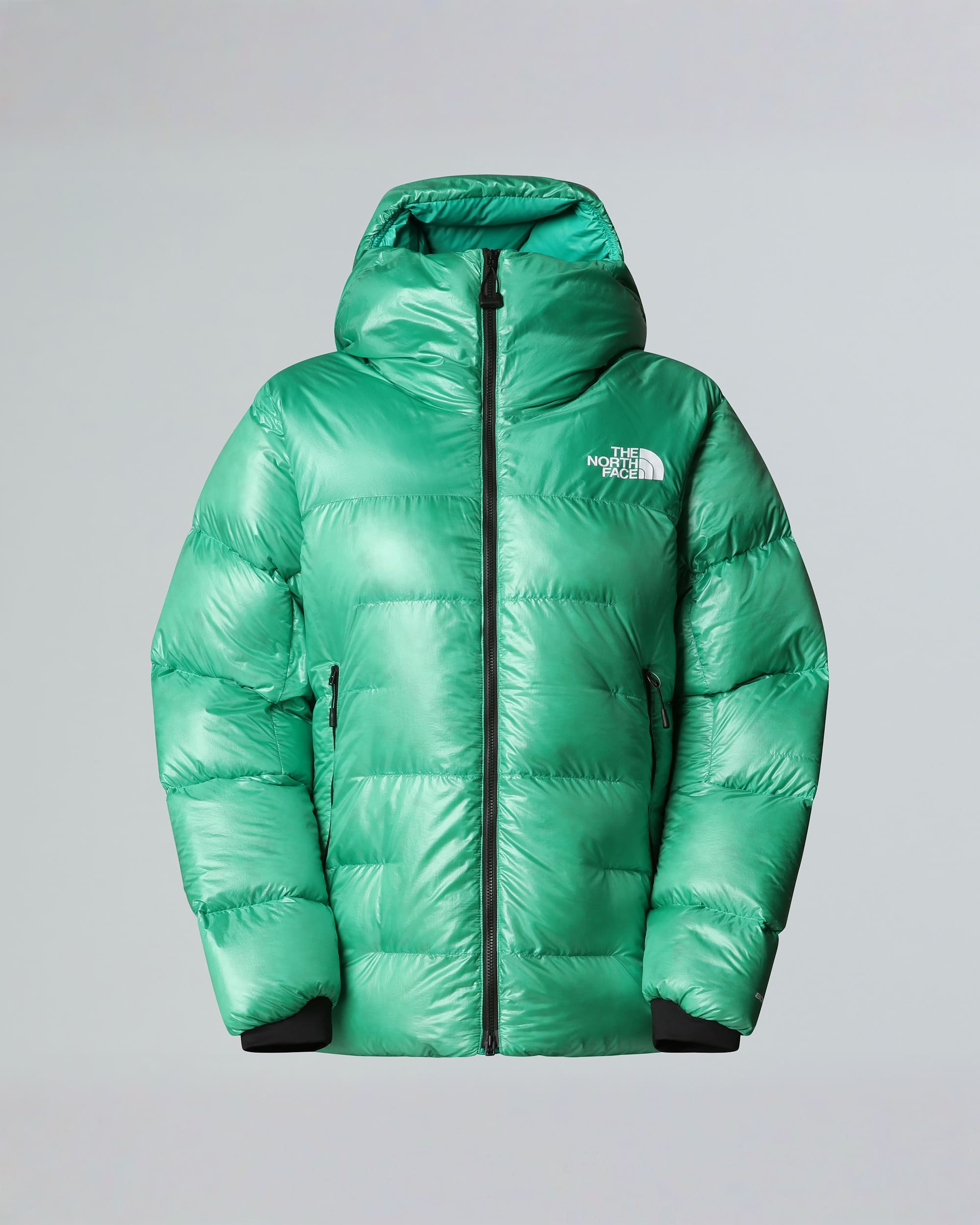Womens Summit Pumori Down Parka TNF ALT20