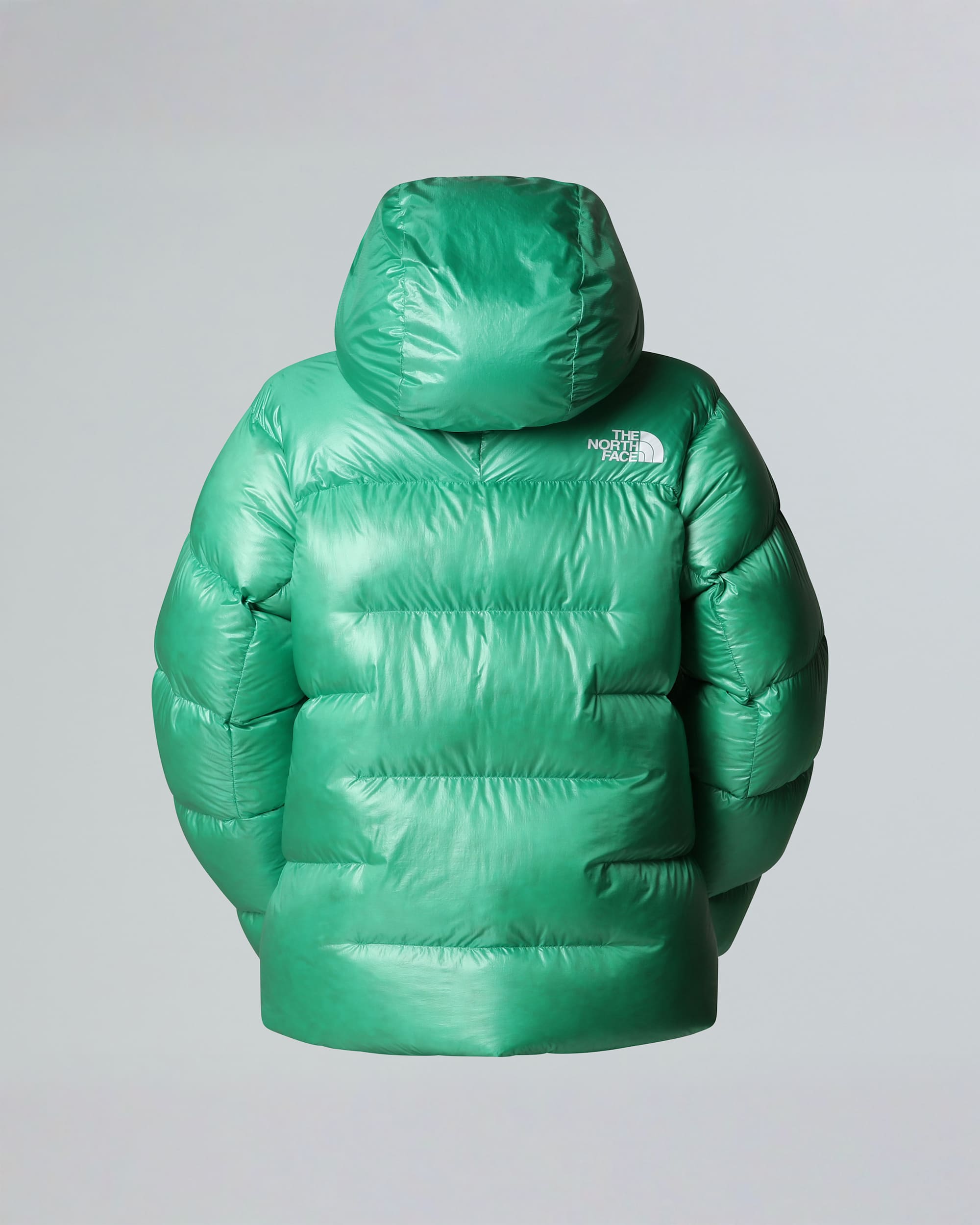Womens Summit Pumori Down Parka TNF ALT21