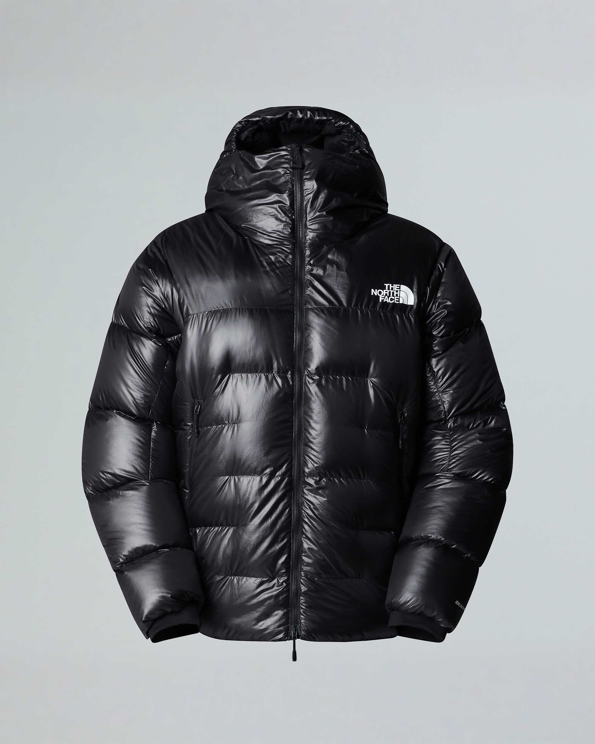 Mens Summit Pumori Down Parka TNF alt20