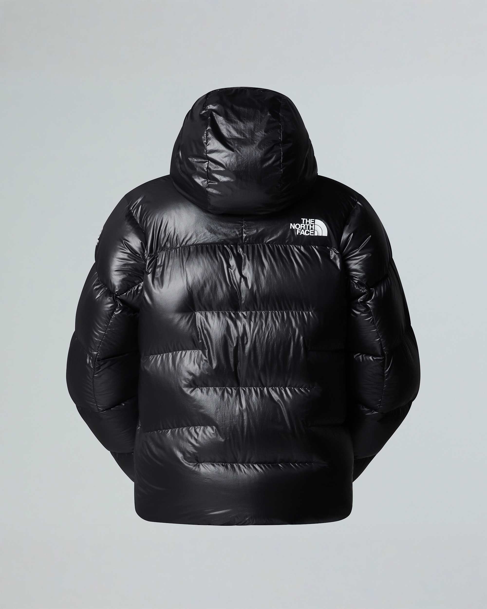 Mens Summit Pumori Down Parka TNF alt21