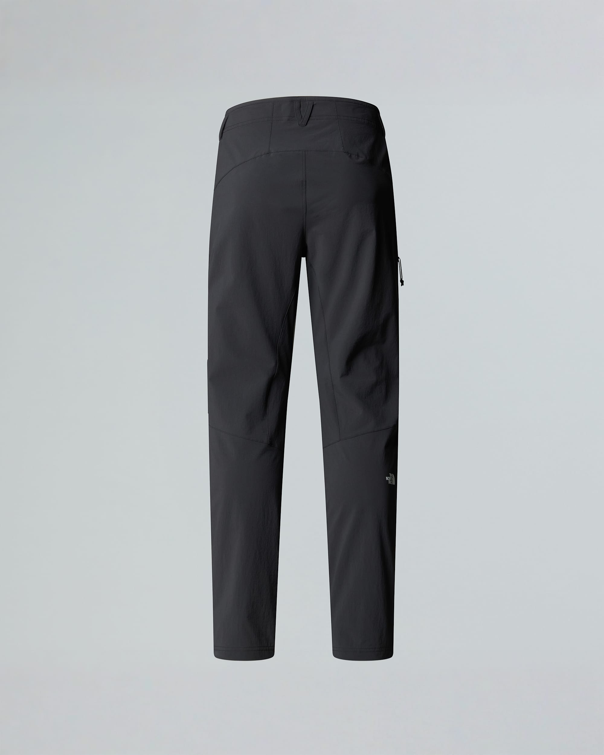 Pantalon coupe standard Speedlight pour femme TNF ALT1
