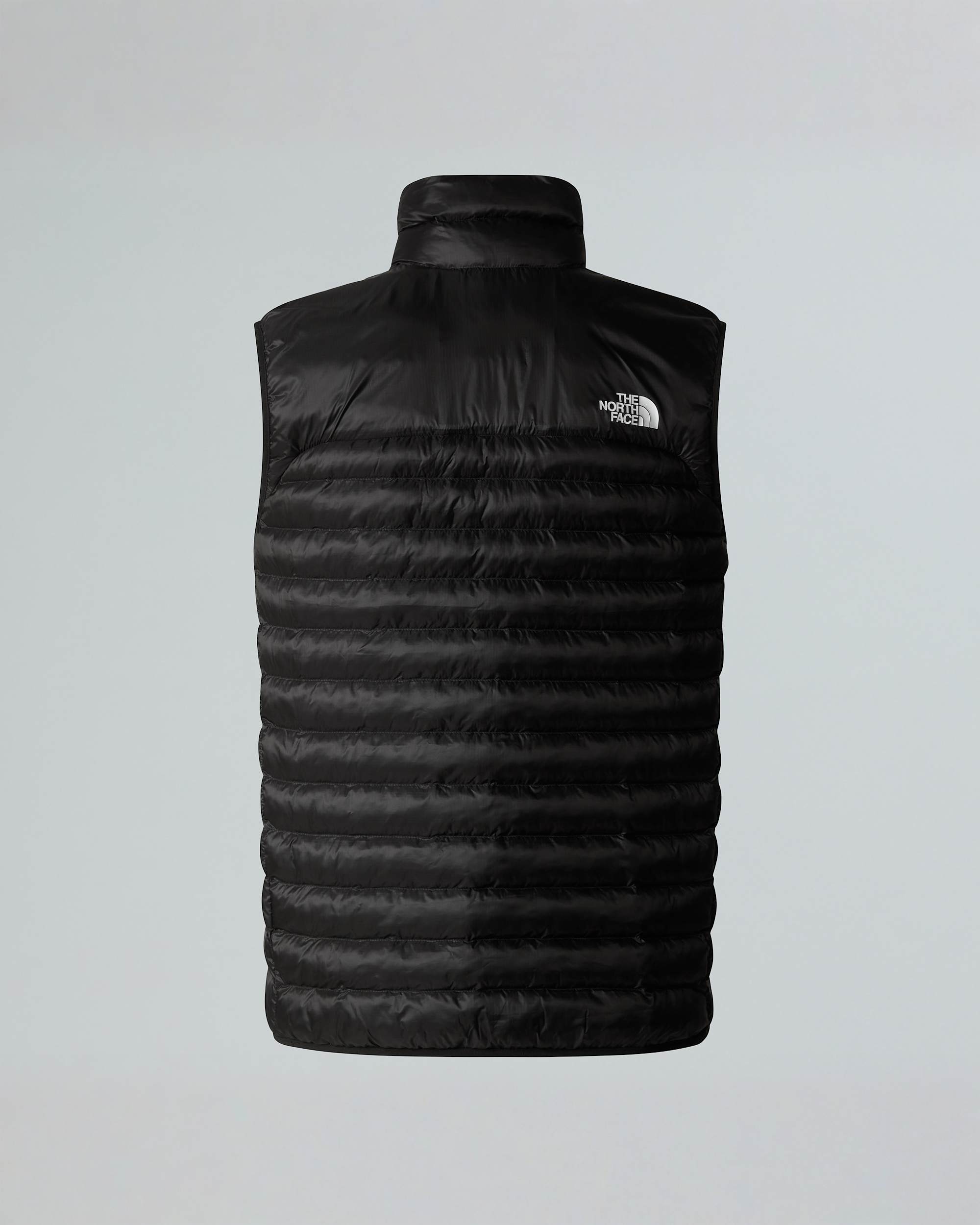 Mens Terra Peak Gilet TNF ALT21