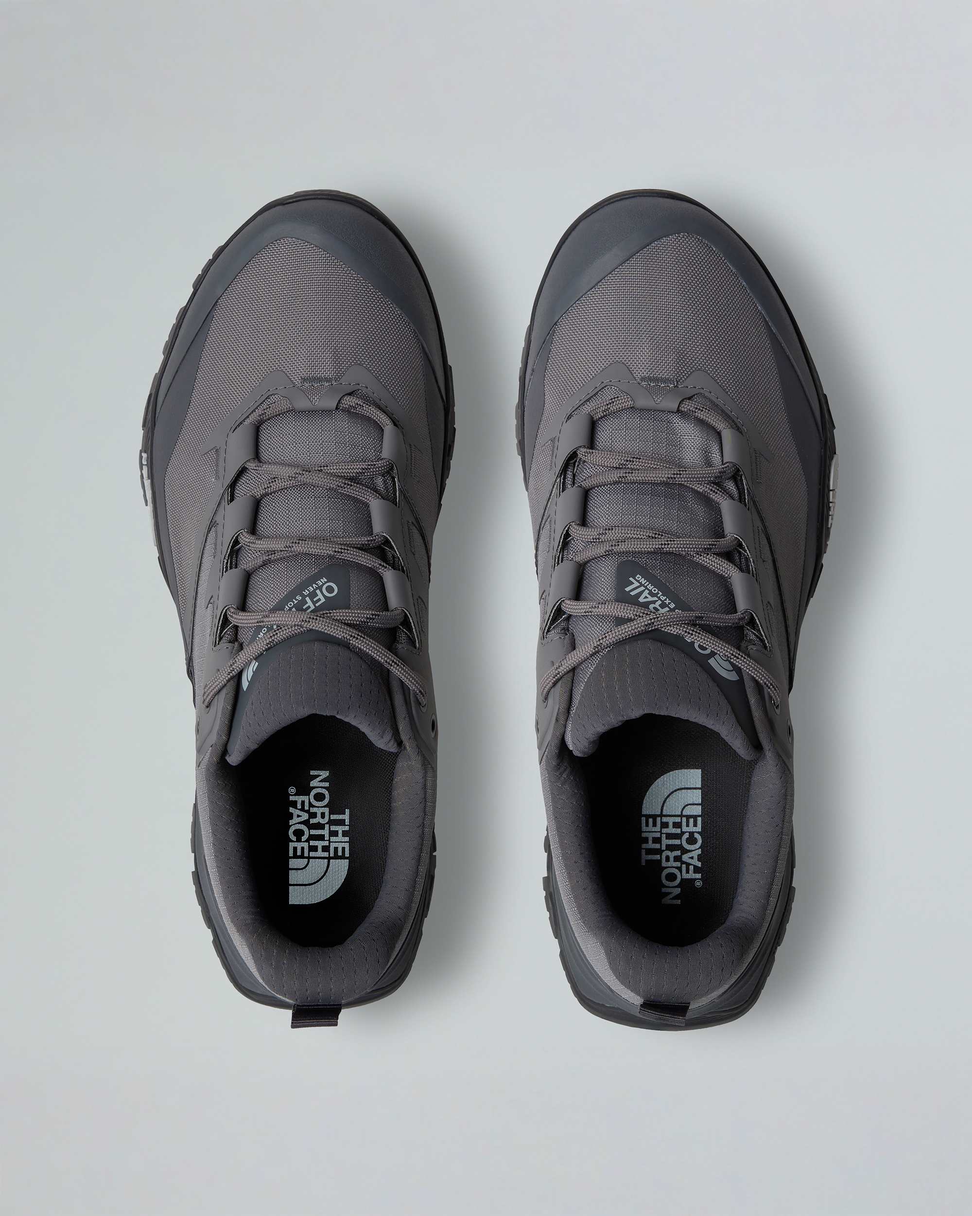 Scarpe da escursionismo Offtrail GORETEX da uomo TNF alt1