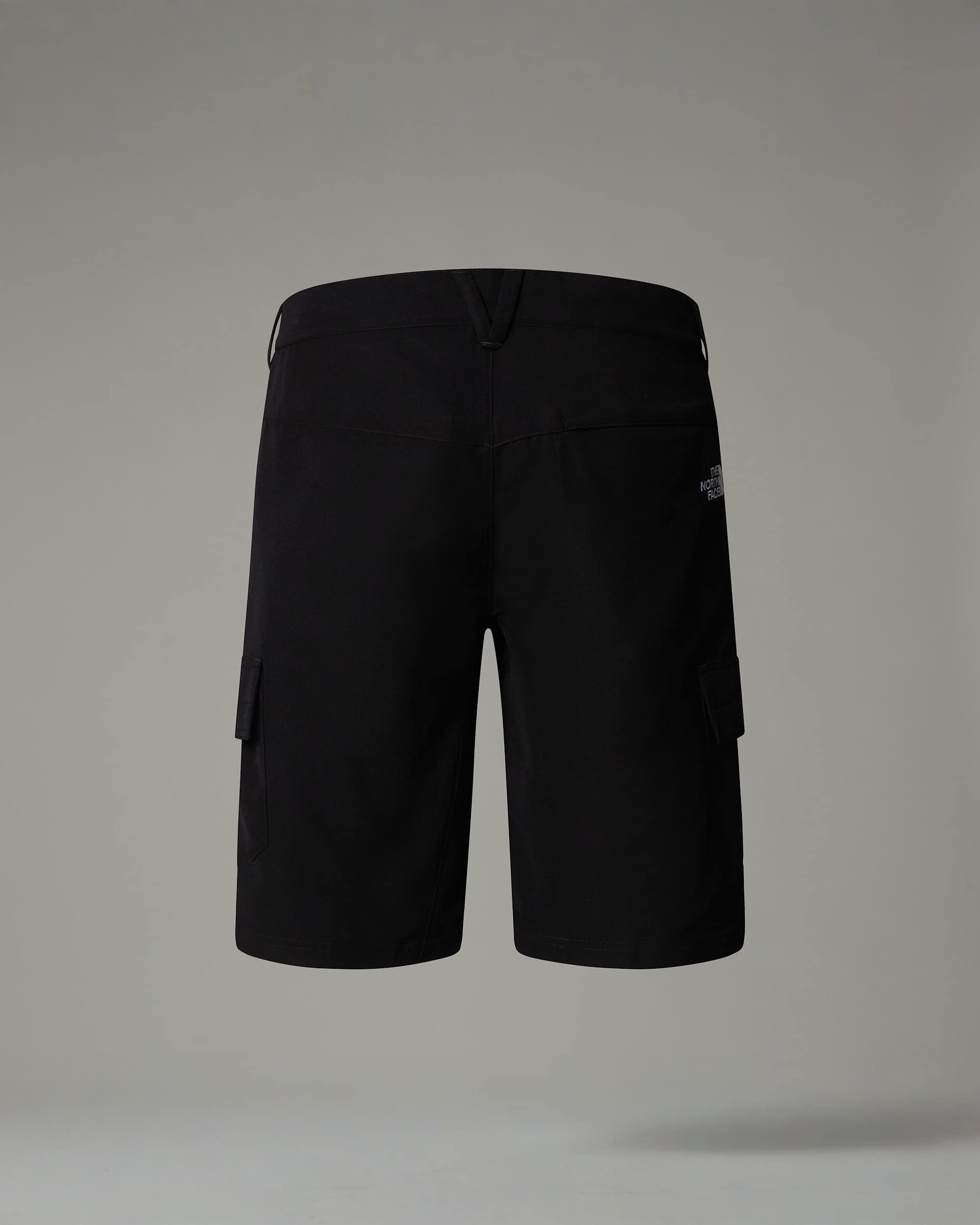Horizonshort voor heren TNF alt1
