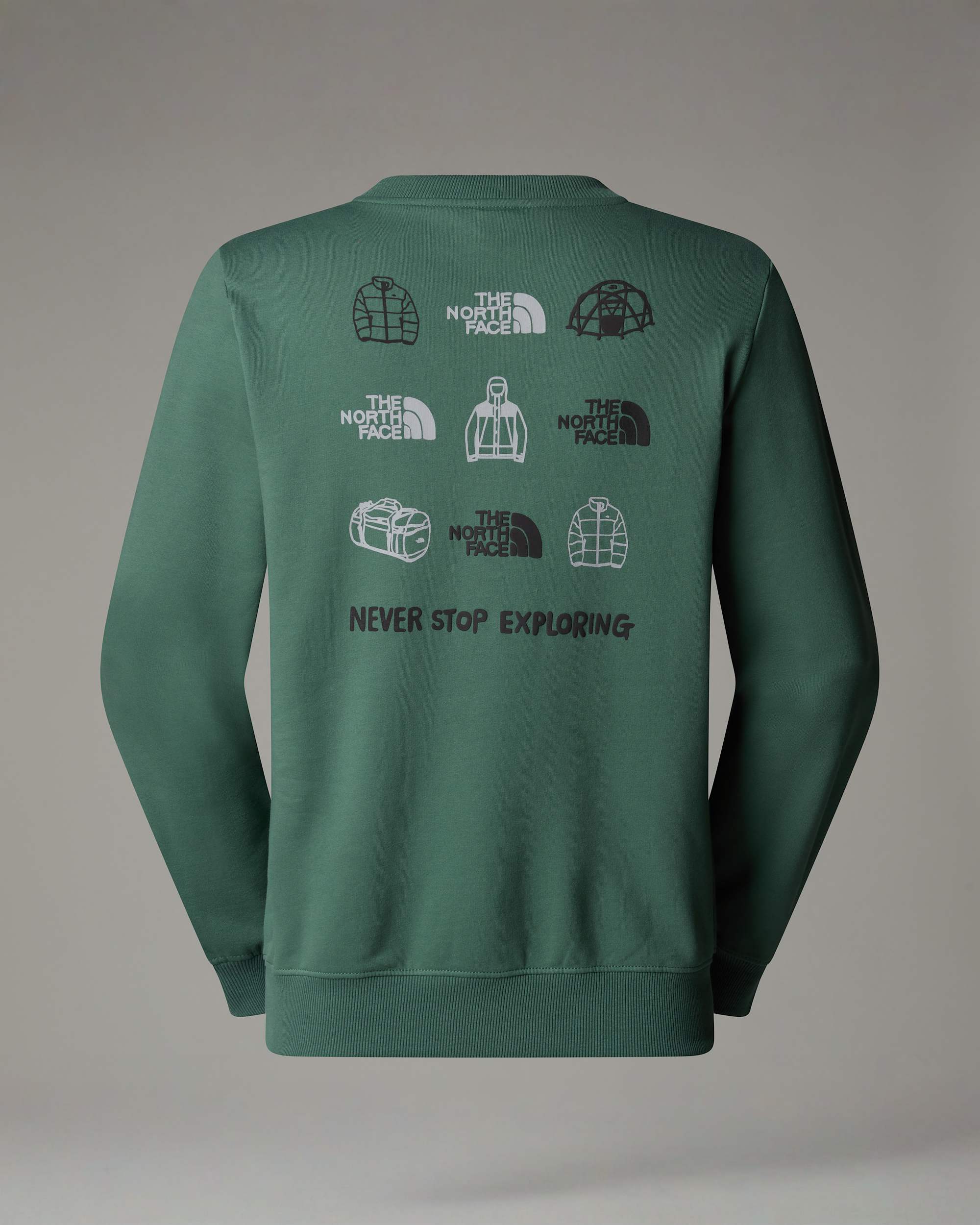Mens Outdoor Graphic Sweatshirt TNF ALT1