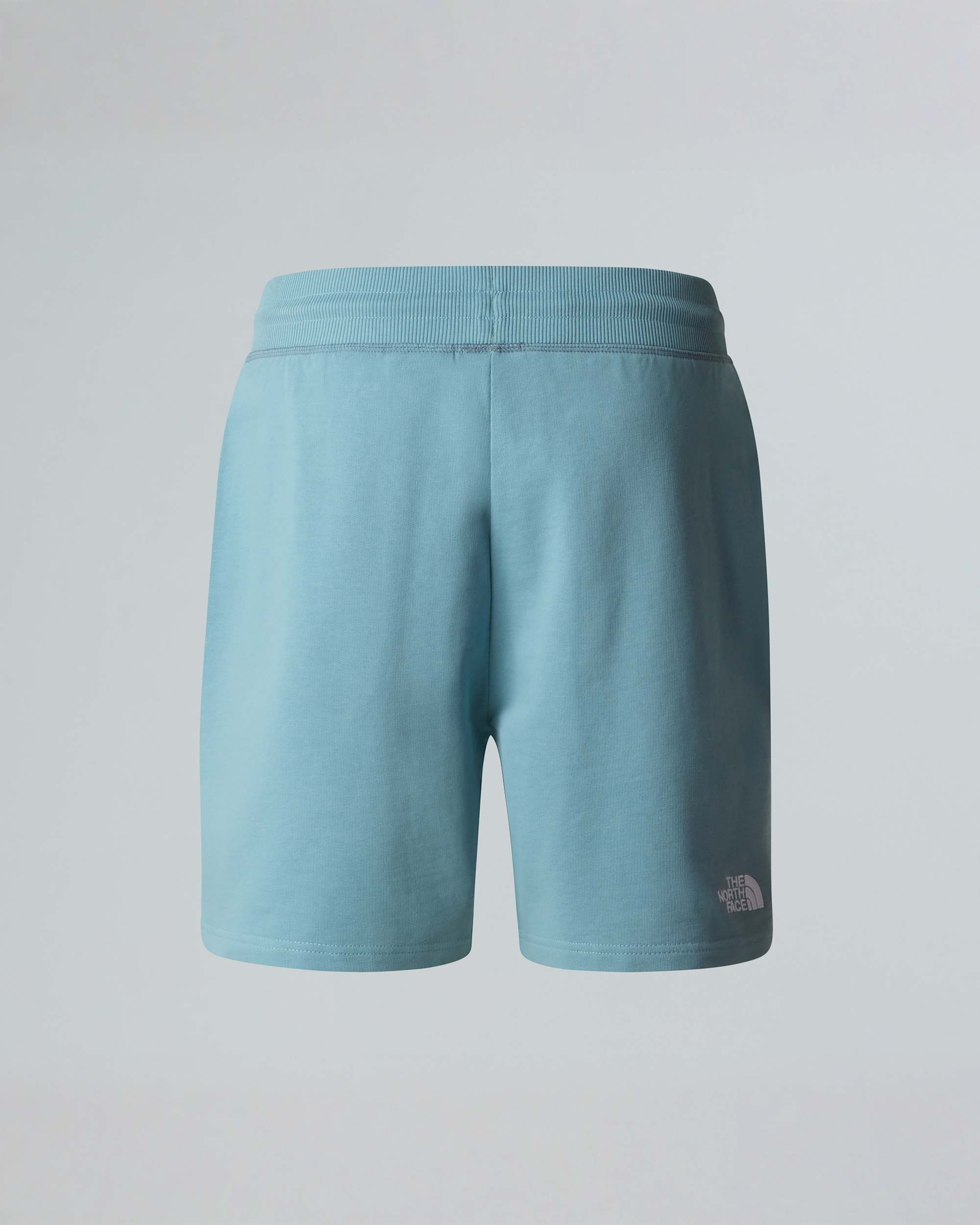 Short Essential Lite pour homme TNF ALT1