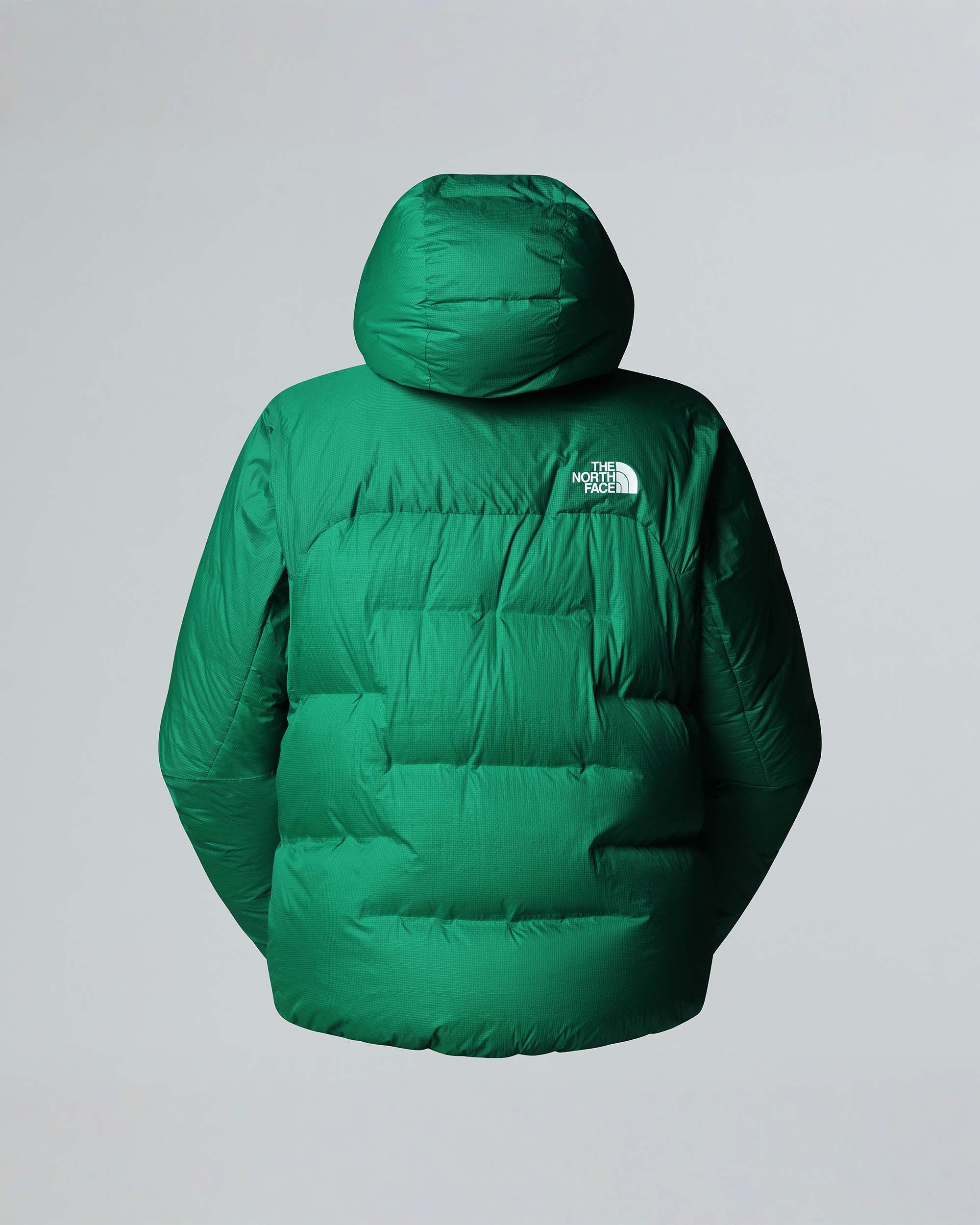 Mens Summit Cloud Down AMK Parka TNF ALT21