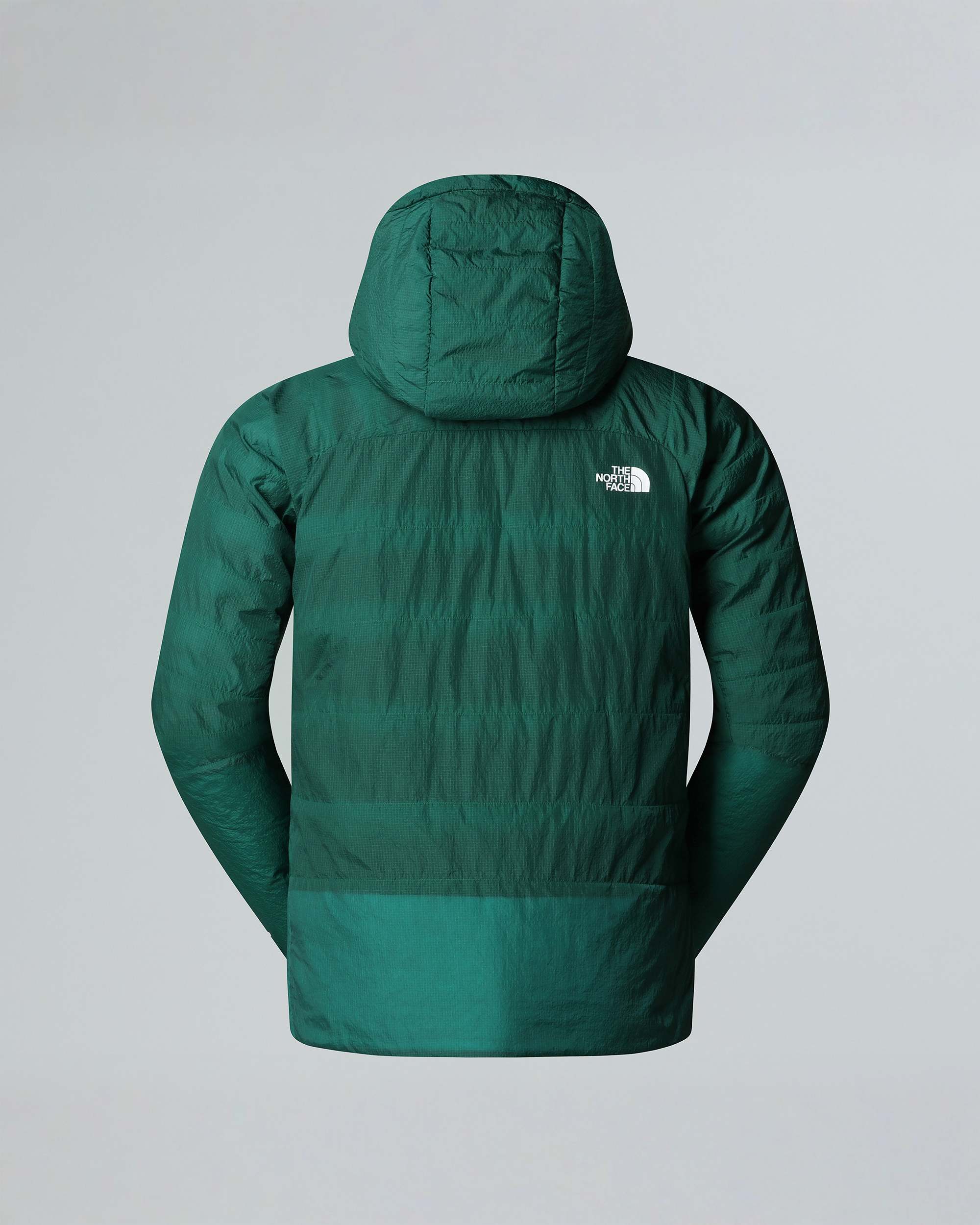 Veste  capuche Summit 5050 AMK pour homme TNF ALT21