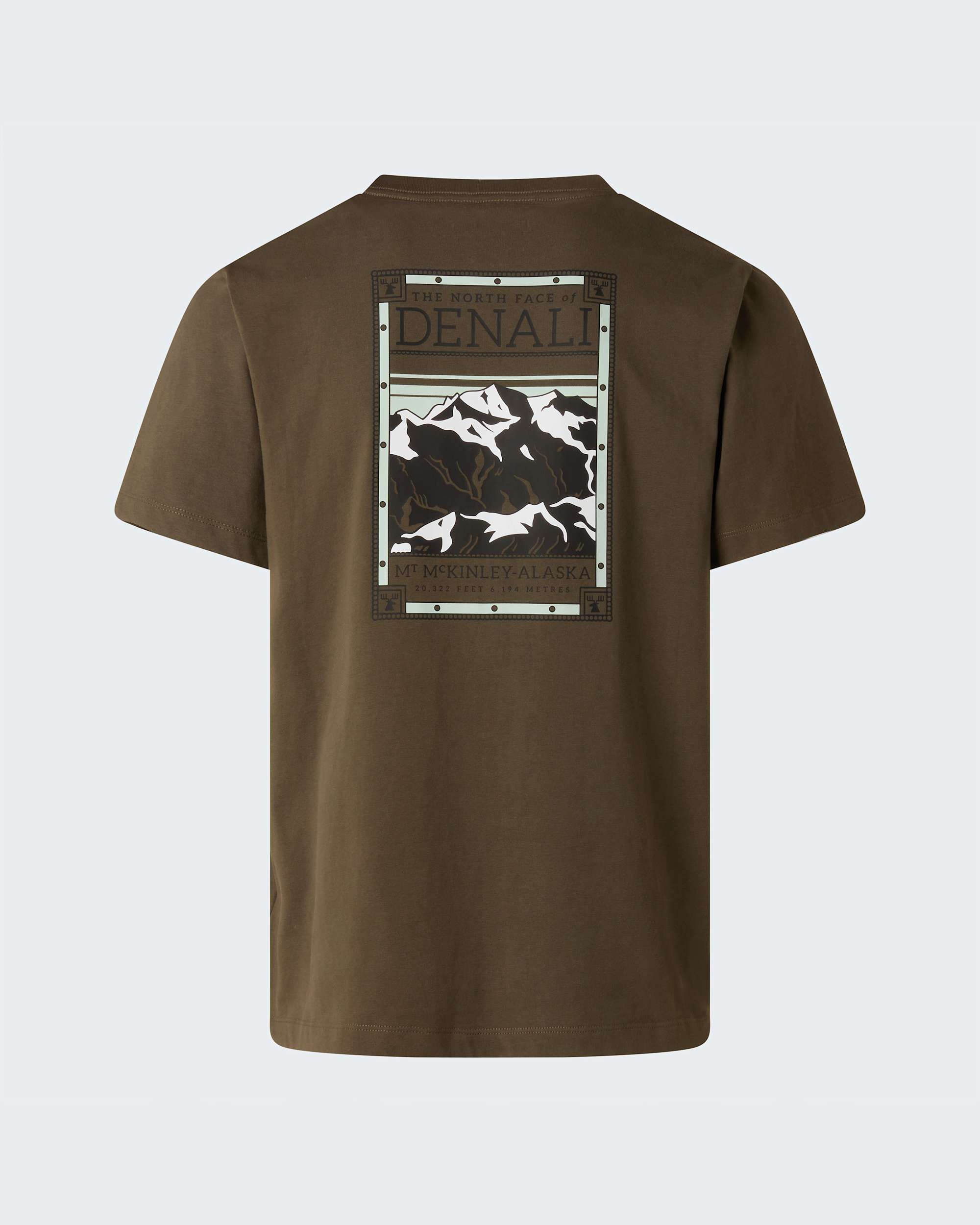 Camiseta recta con estampado grfico North Faces para hombre TNF ALT21