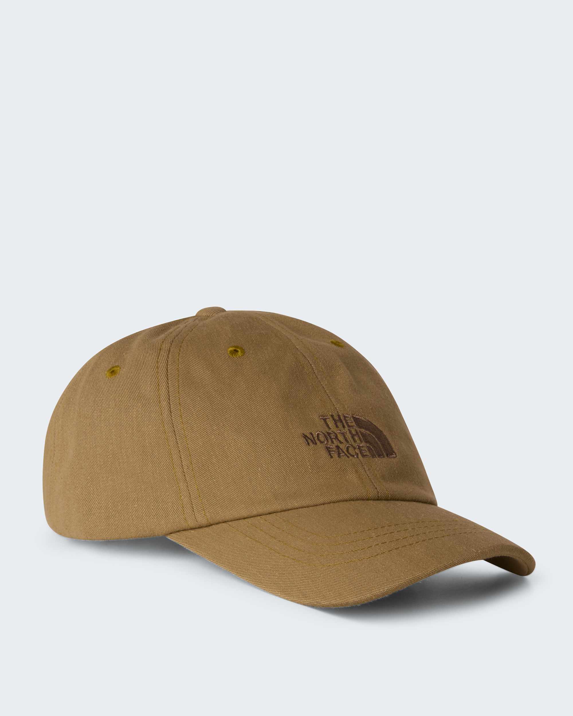 Cap Norm TNF Cedar HERO