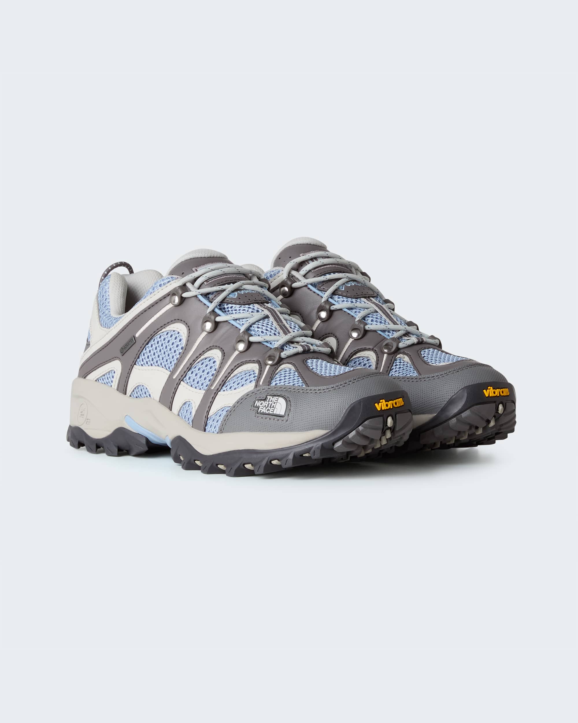 Hedgehog 06 GORETEX Shoes TNF ALT8