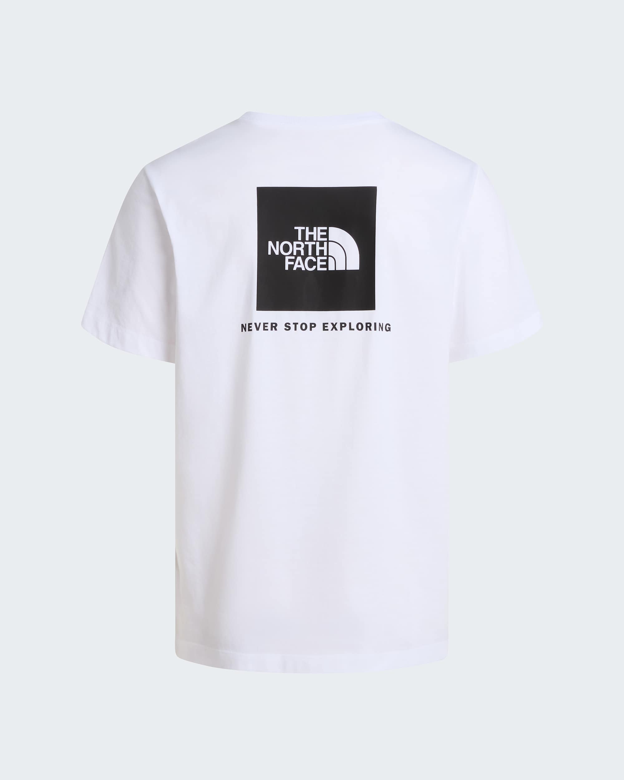 Camiseta recta NSE Box Evolution para hombre TNF alt21