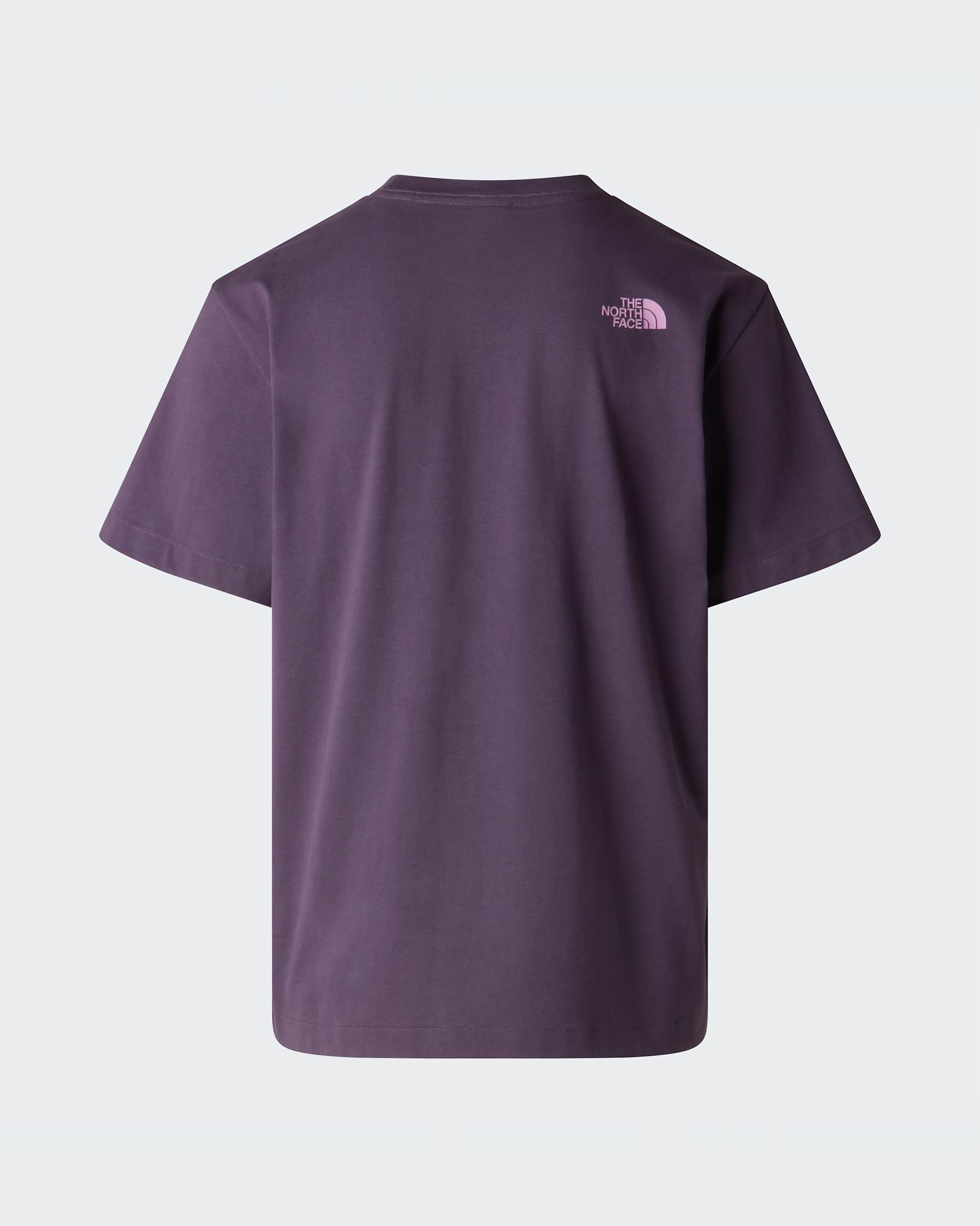 Camiseta holgada con estampado grfico y logotipo Twist para hombre TNF ALT21