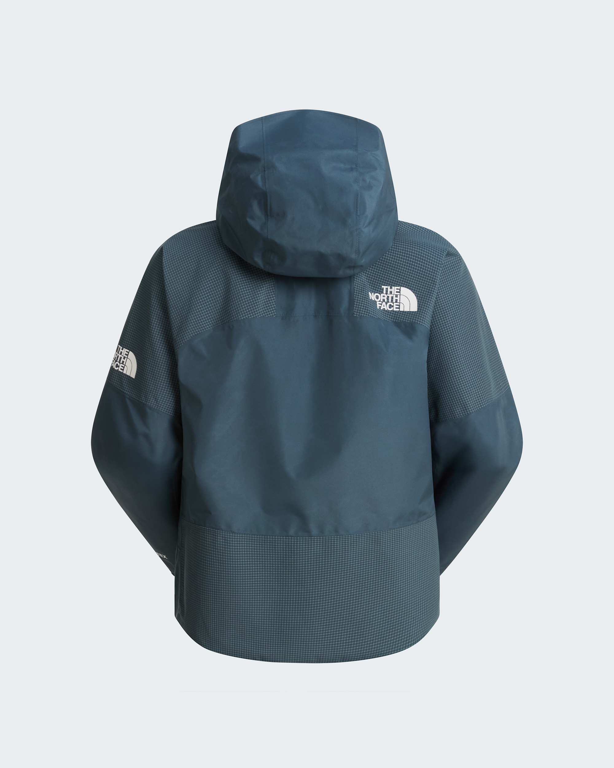 Womens Hike Devils Thumb GORETEX Jacket TNF ALT21