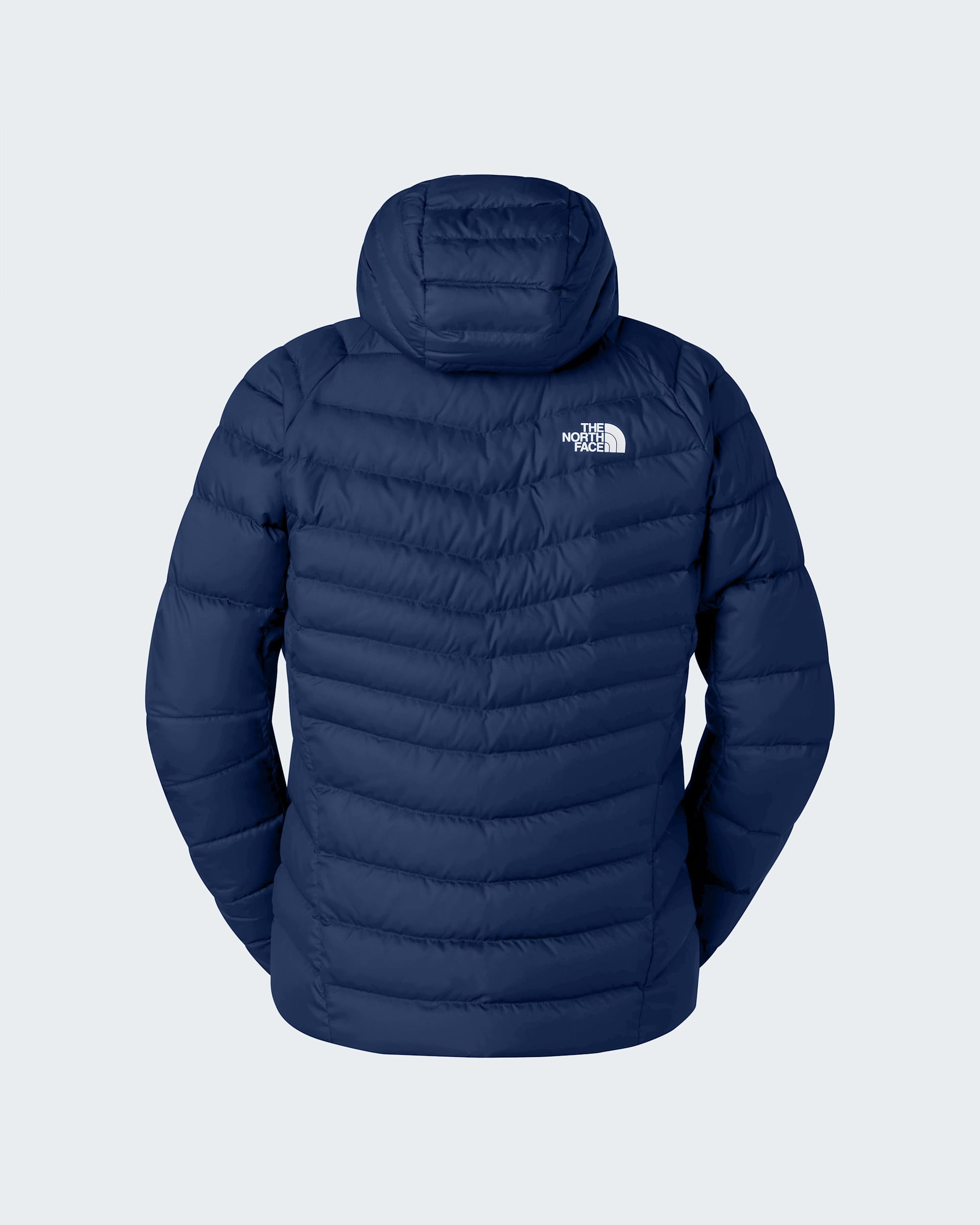 Veste  capuche Hometown pour homme TNF ALT1