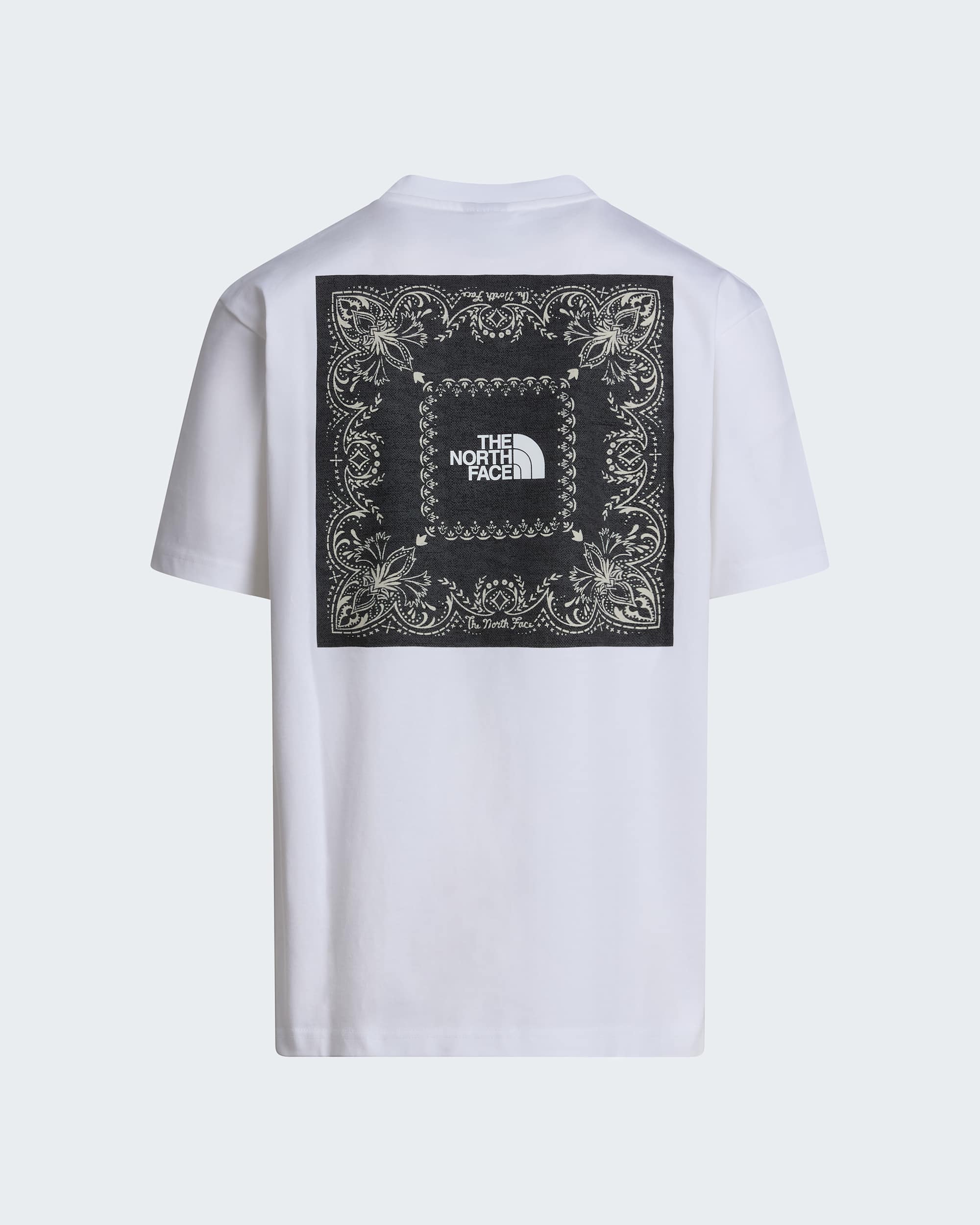 Men's Bandana Oversized T-Shirt | The North Face SE