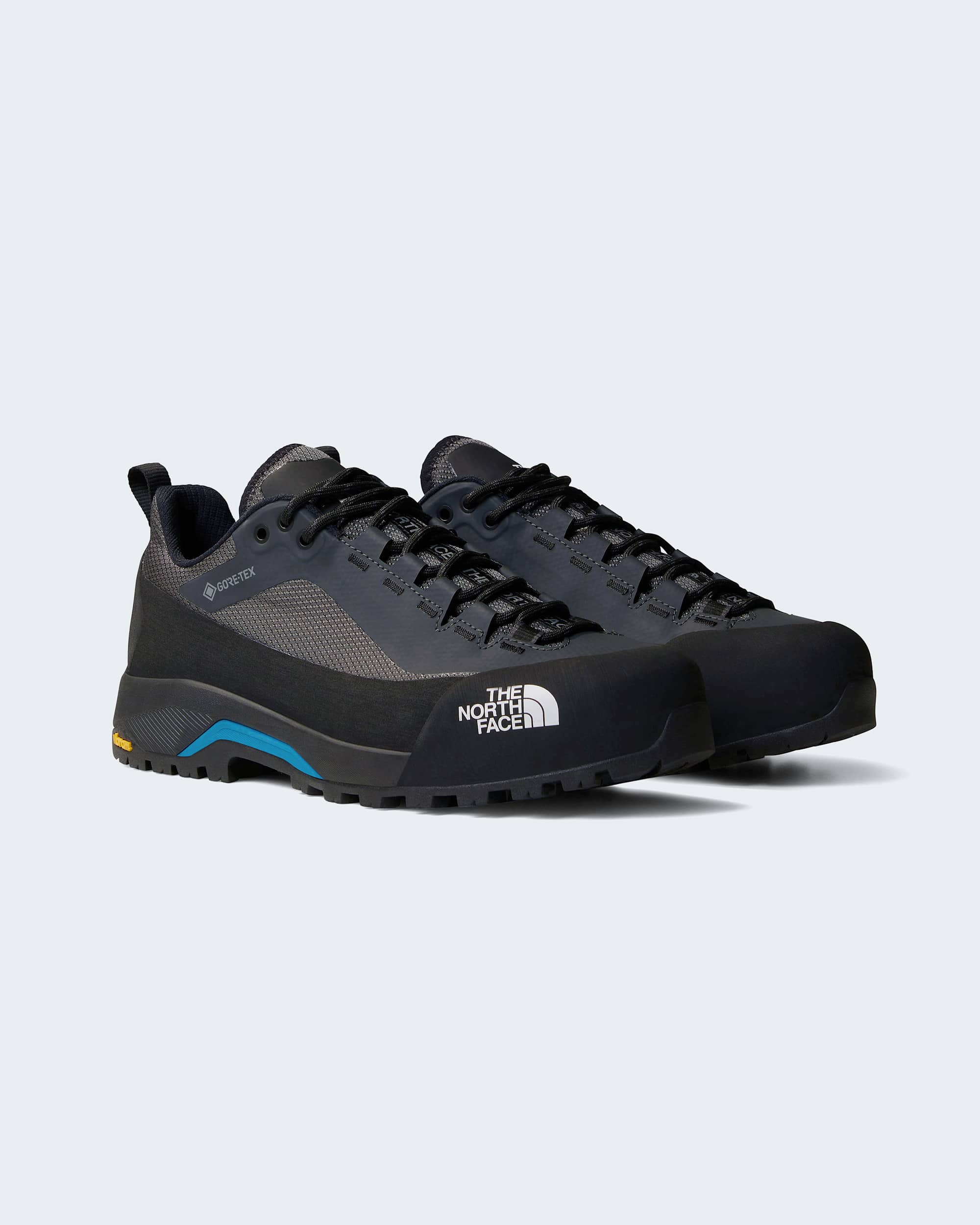 Mens Verto GORETEX Alpine Shoes TNF ALT8