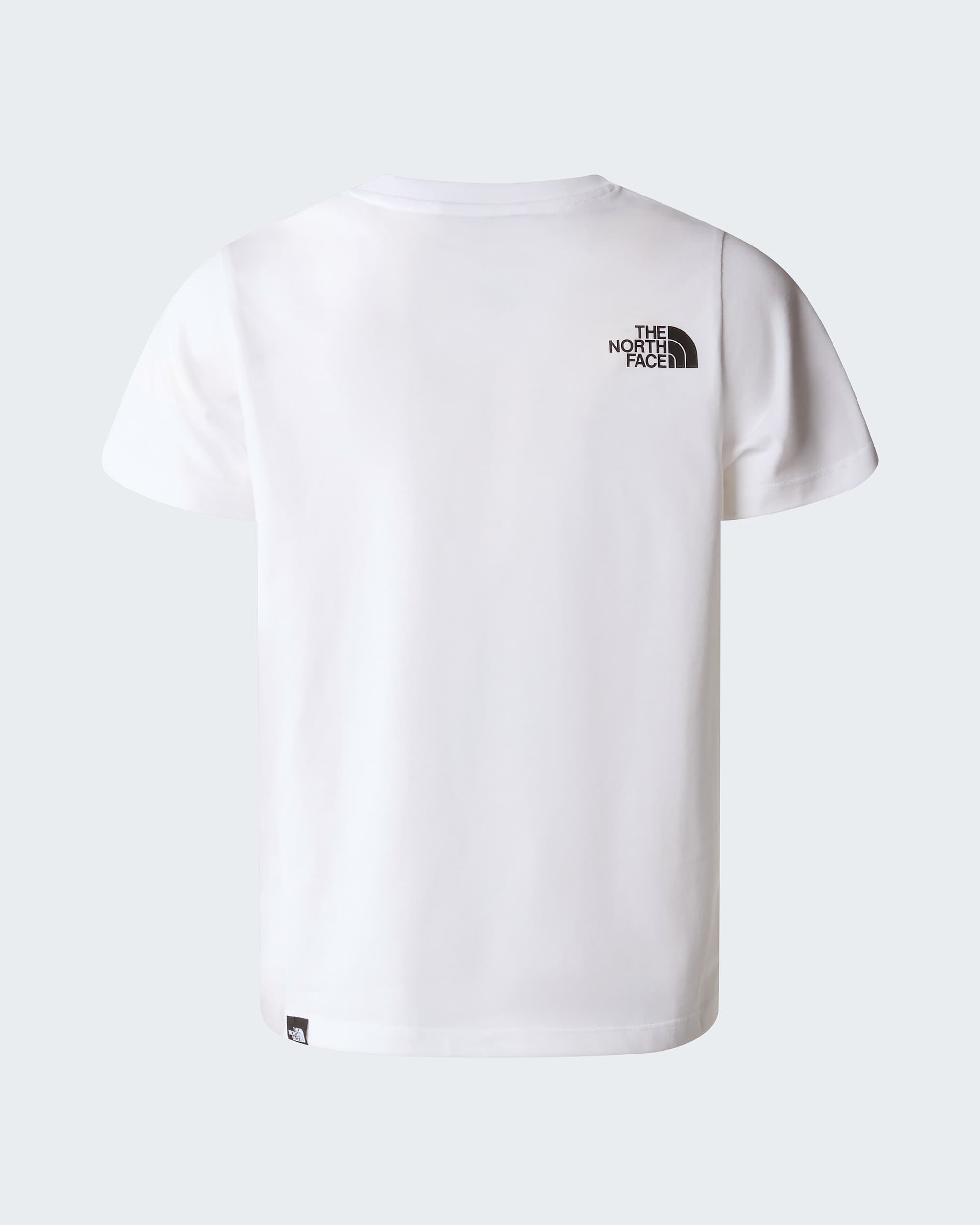 Teens Simple Dome TShirt TNF ALT21