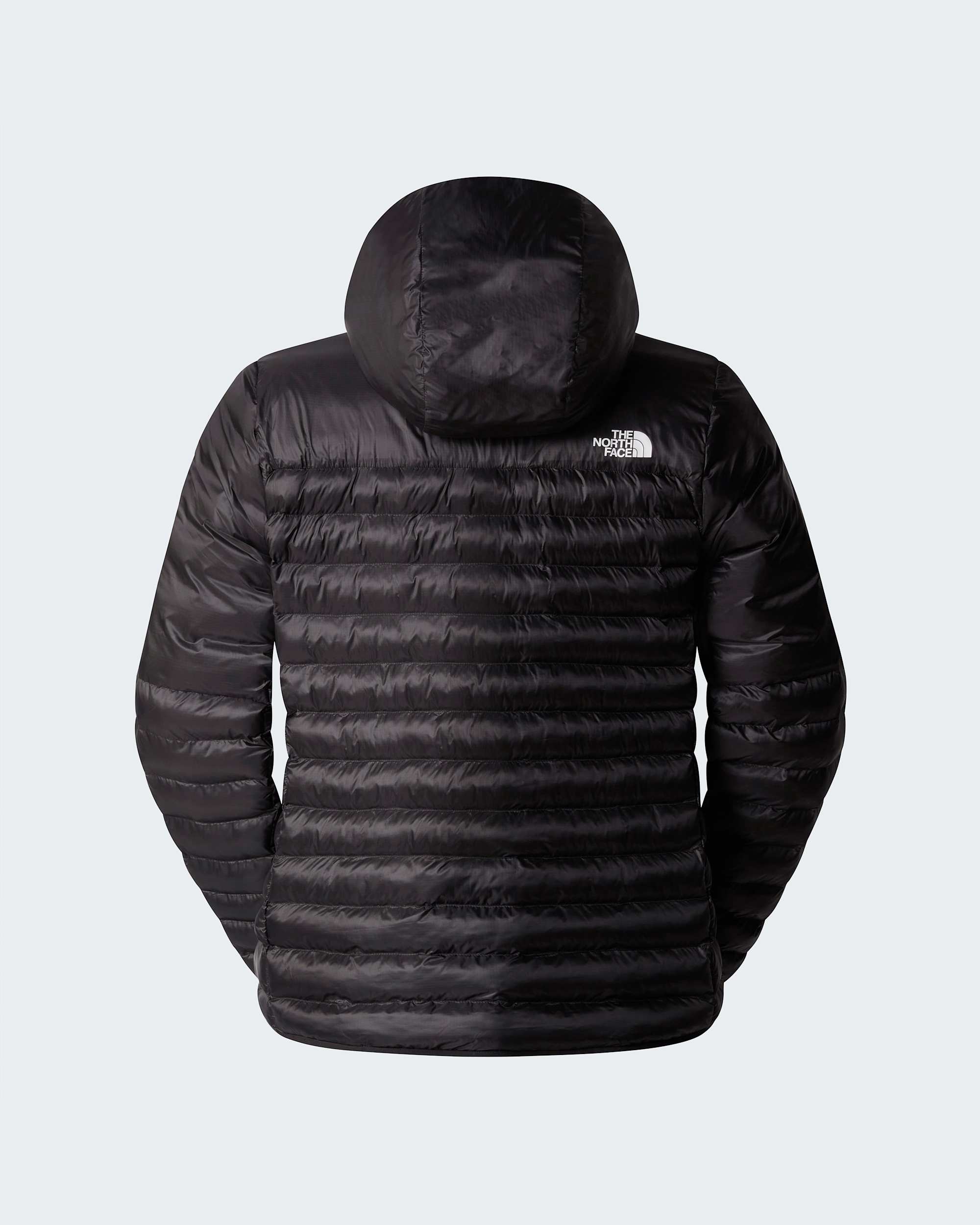Mens Terra Peak Hooded Jacket TNF ALT21