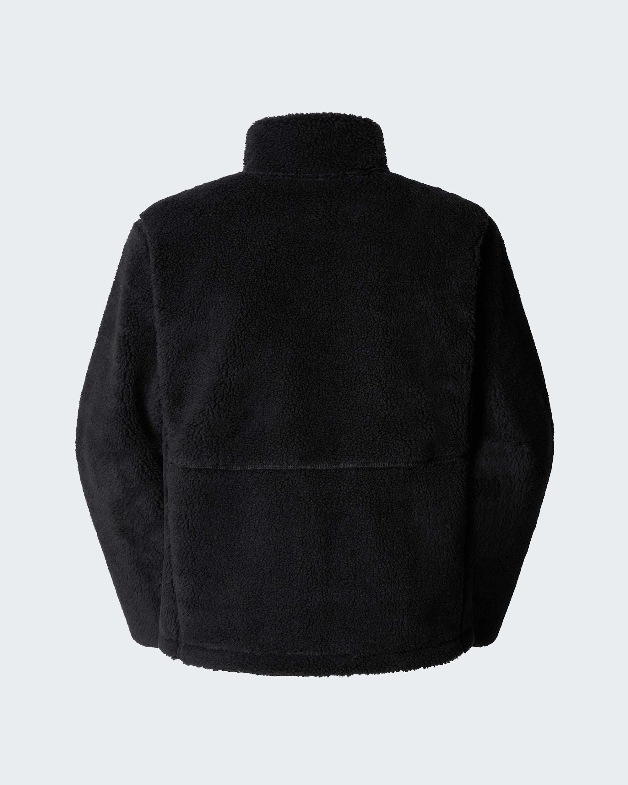 Mens Extreme Pile Fleece TNF ALT21