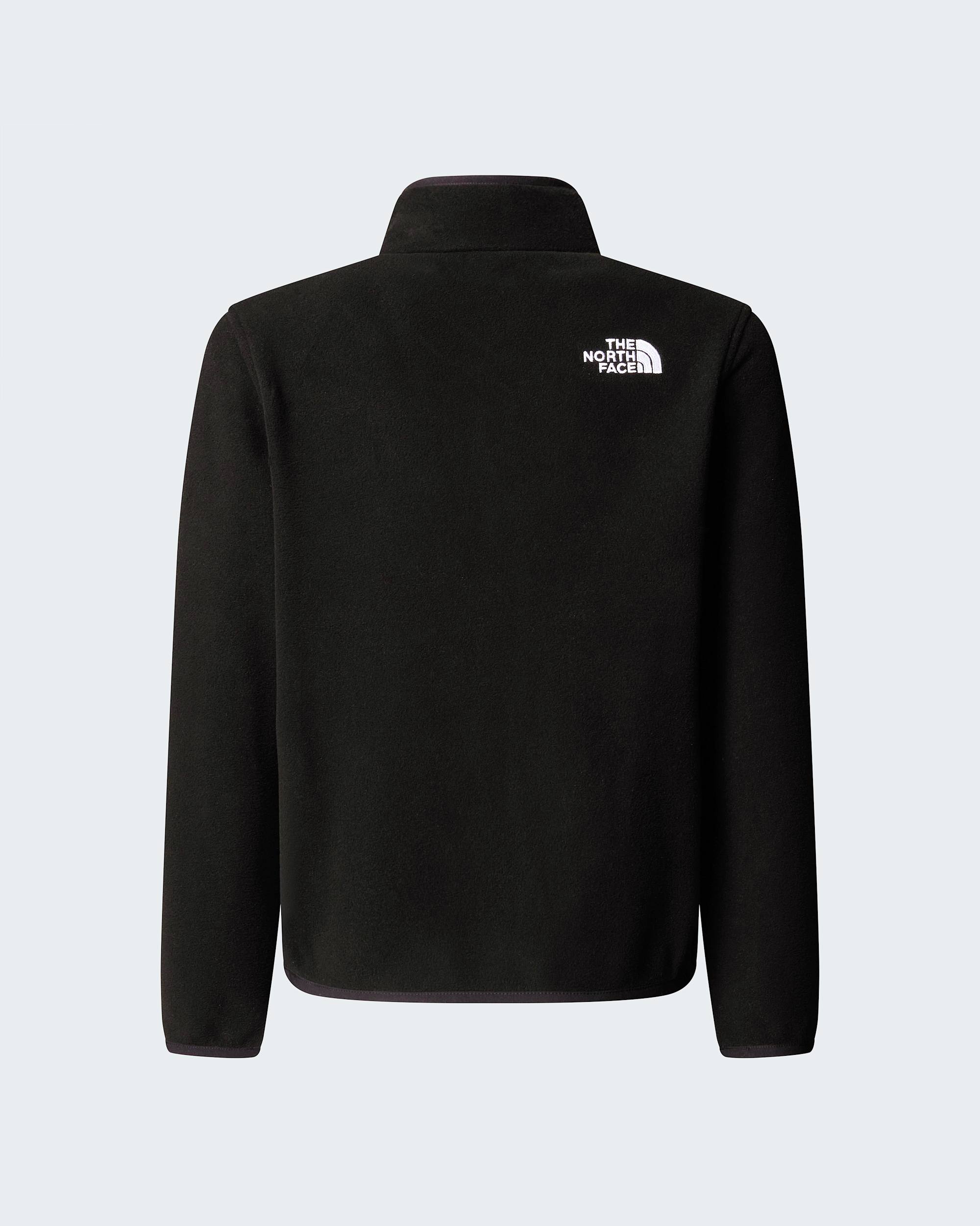 Teens Glacier 14 Zip Fleece TNF ALT21